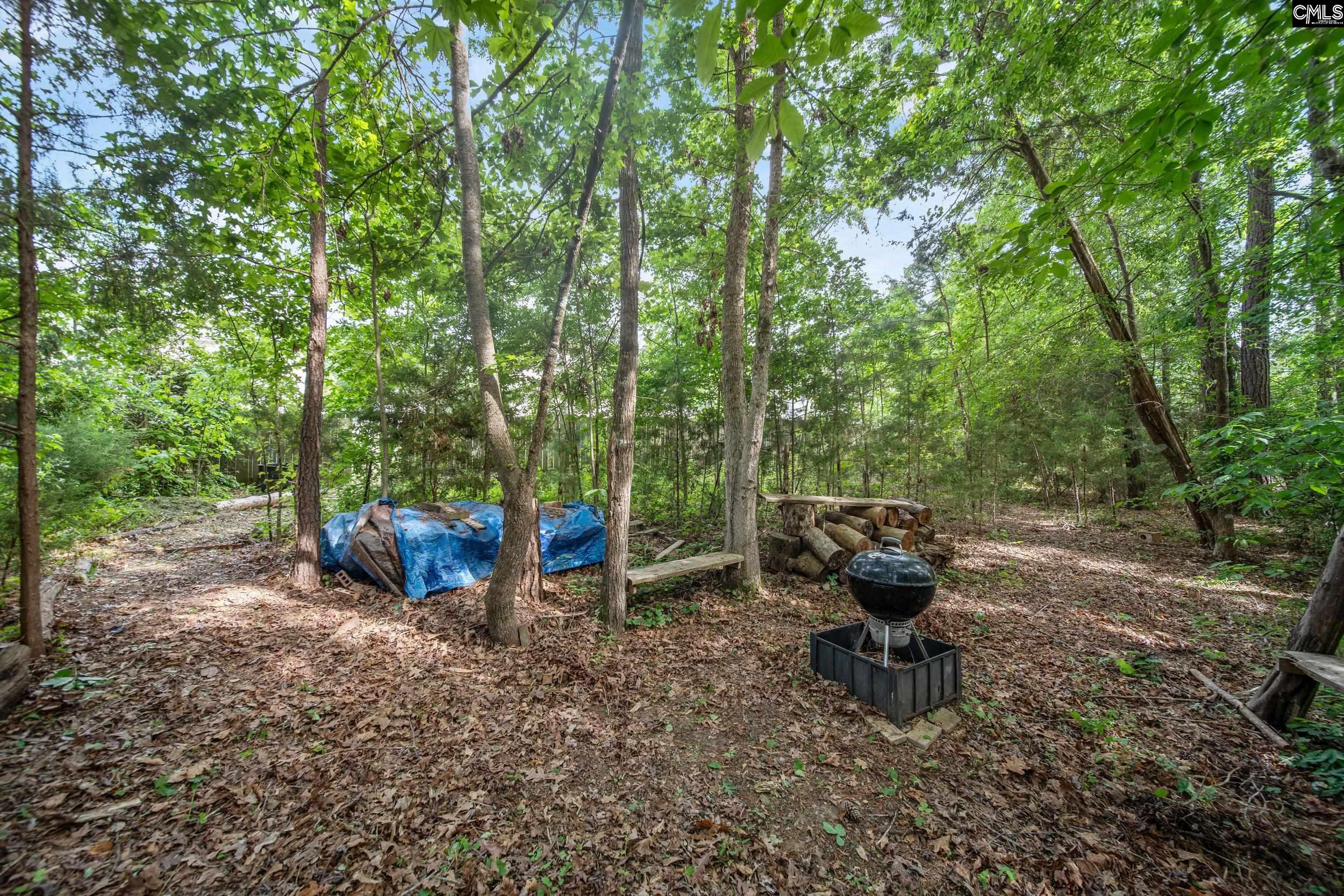 707 Soldier Grey Lane, Chapin, South Carolina image 38