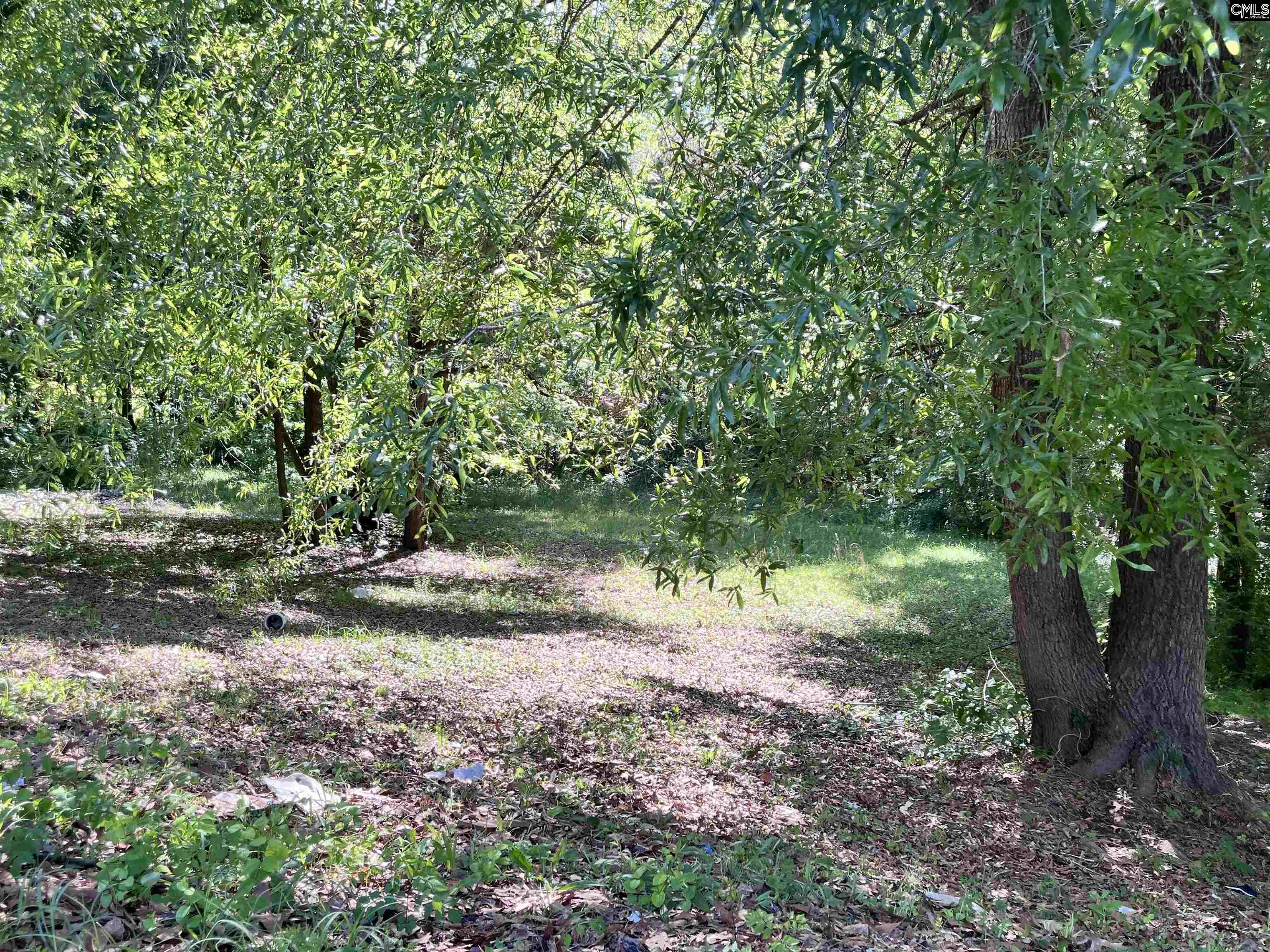 6726 E Peach Road, Ridgeway, South Carolina image 2