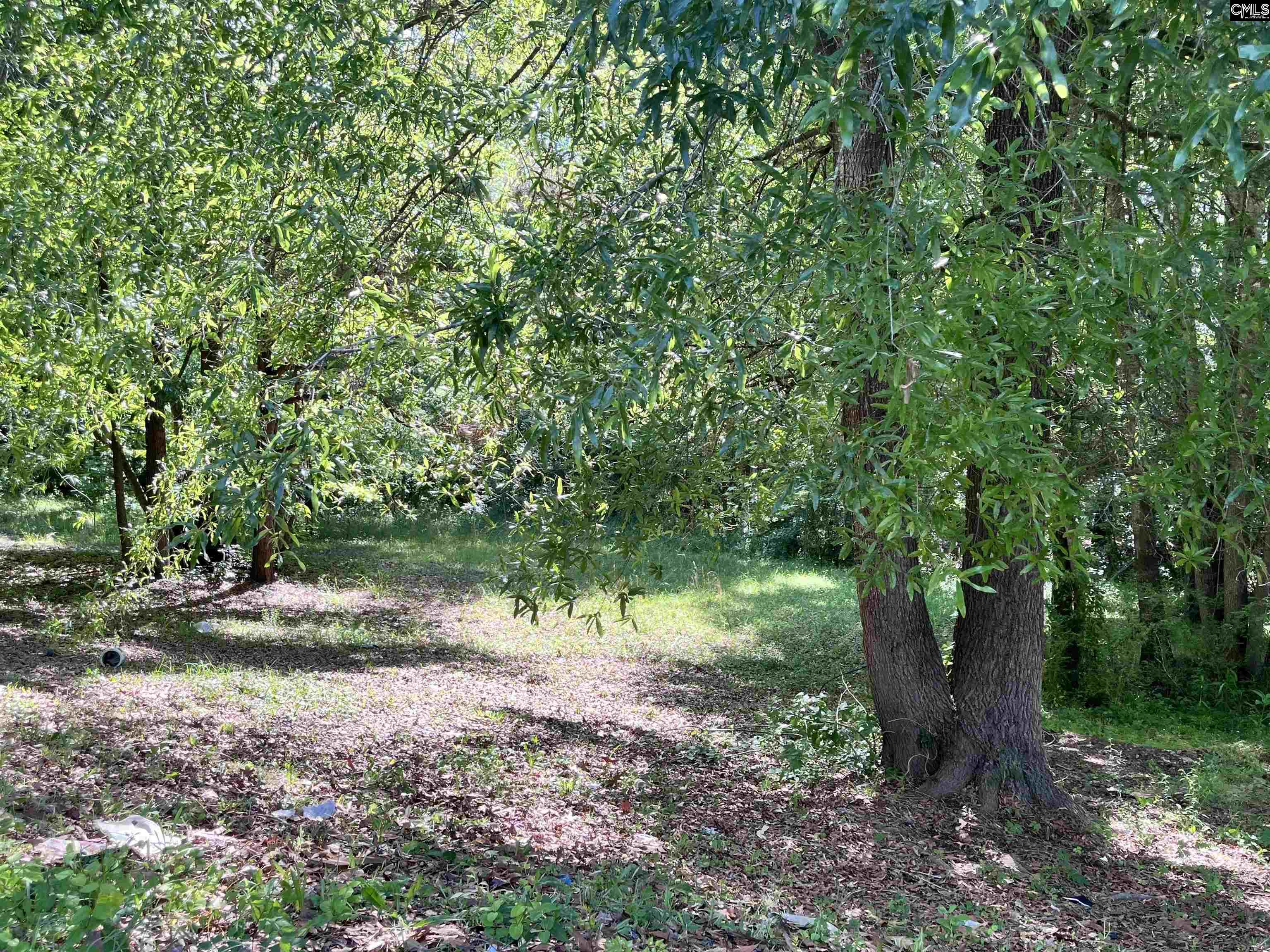 6726 E Peach Road, Ridgeway, South Carolina image 3