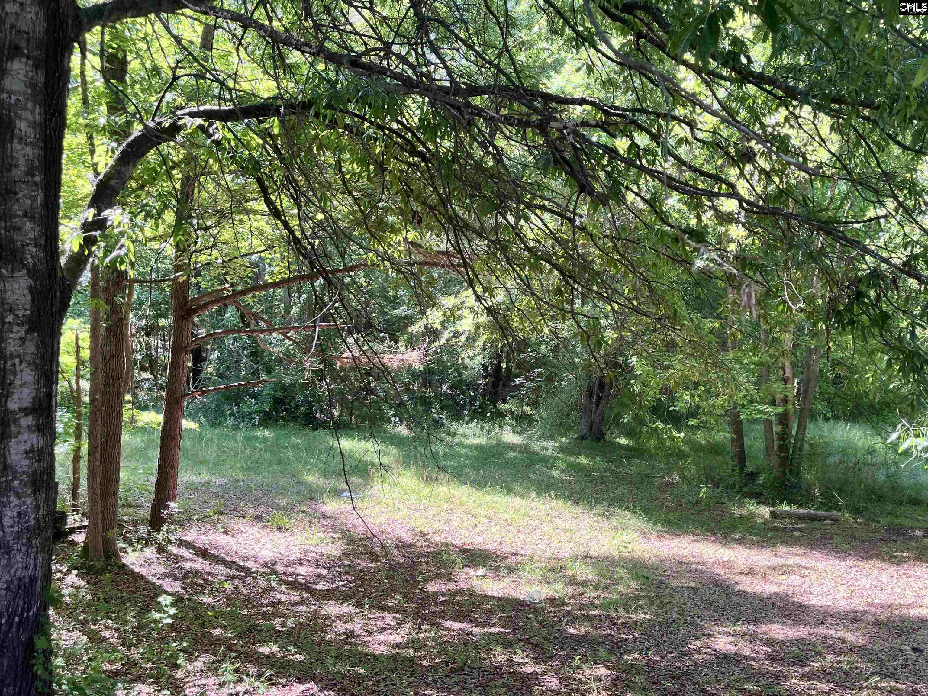 6726 E Peach Road, Ridgeway, South Carolina image 4