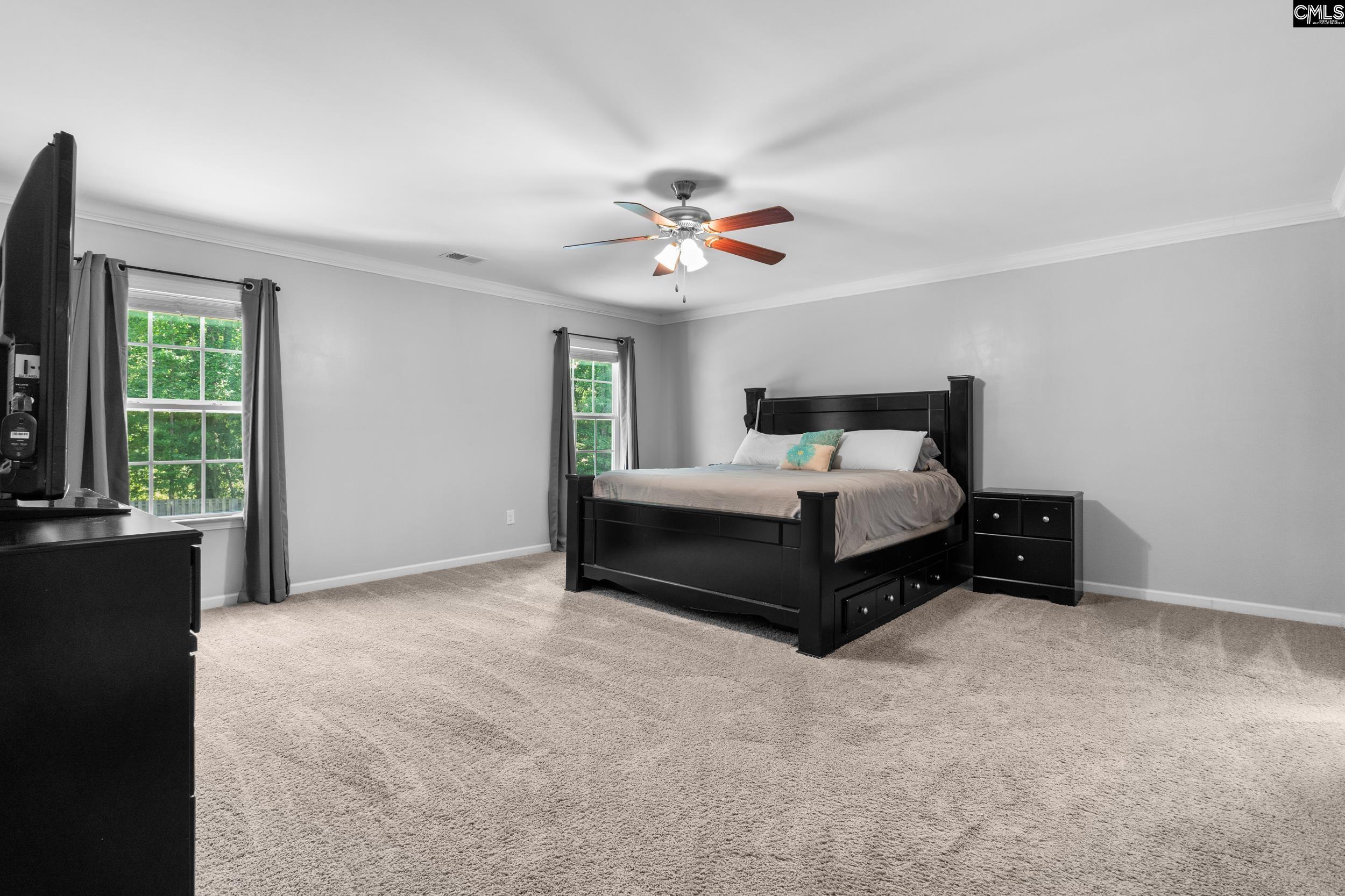 167 Sunsation Dr Chapin, SC 29036