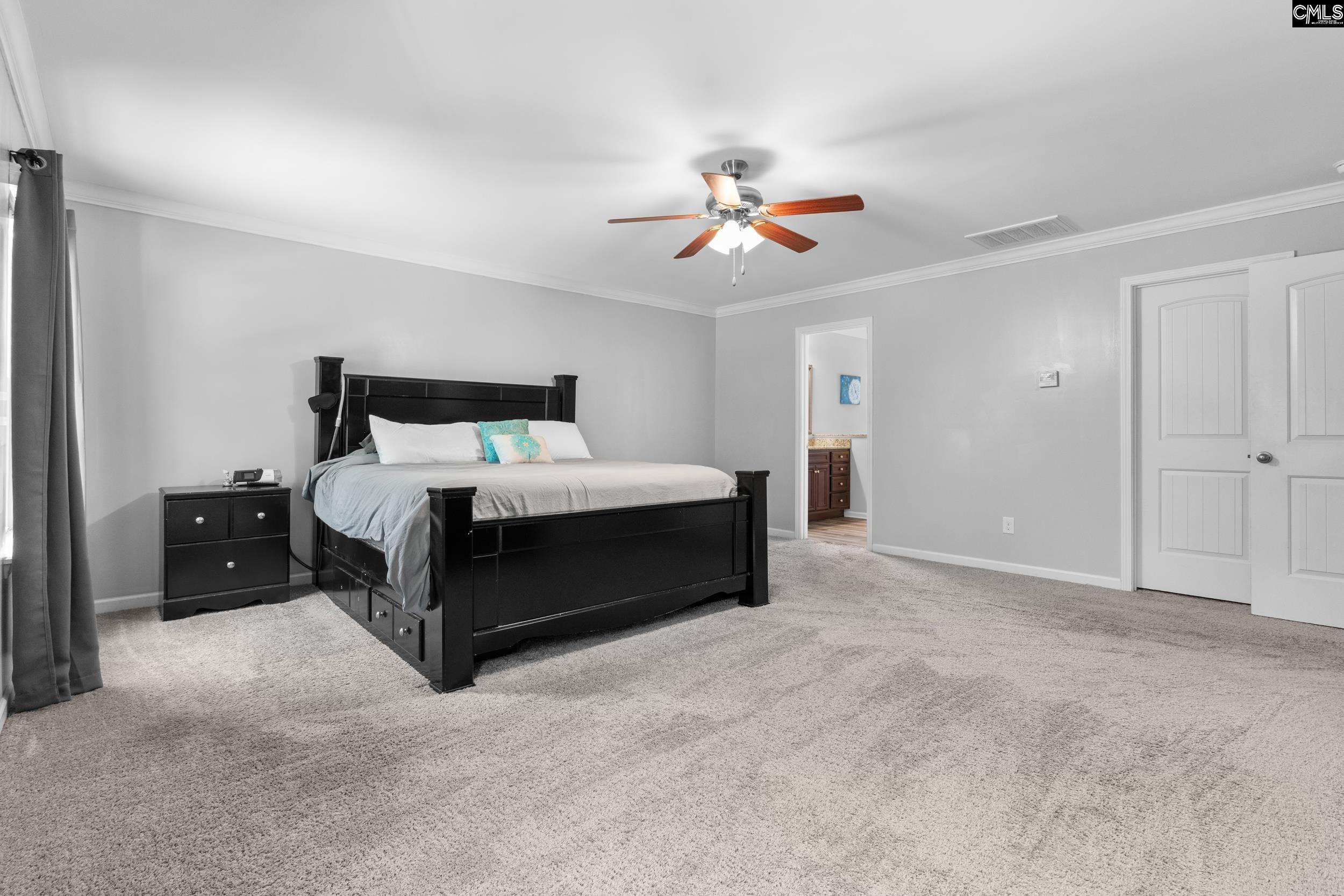 167 Sunsation Dr Chapin, SC 29036