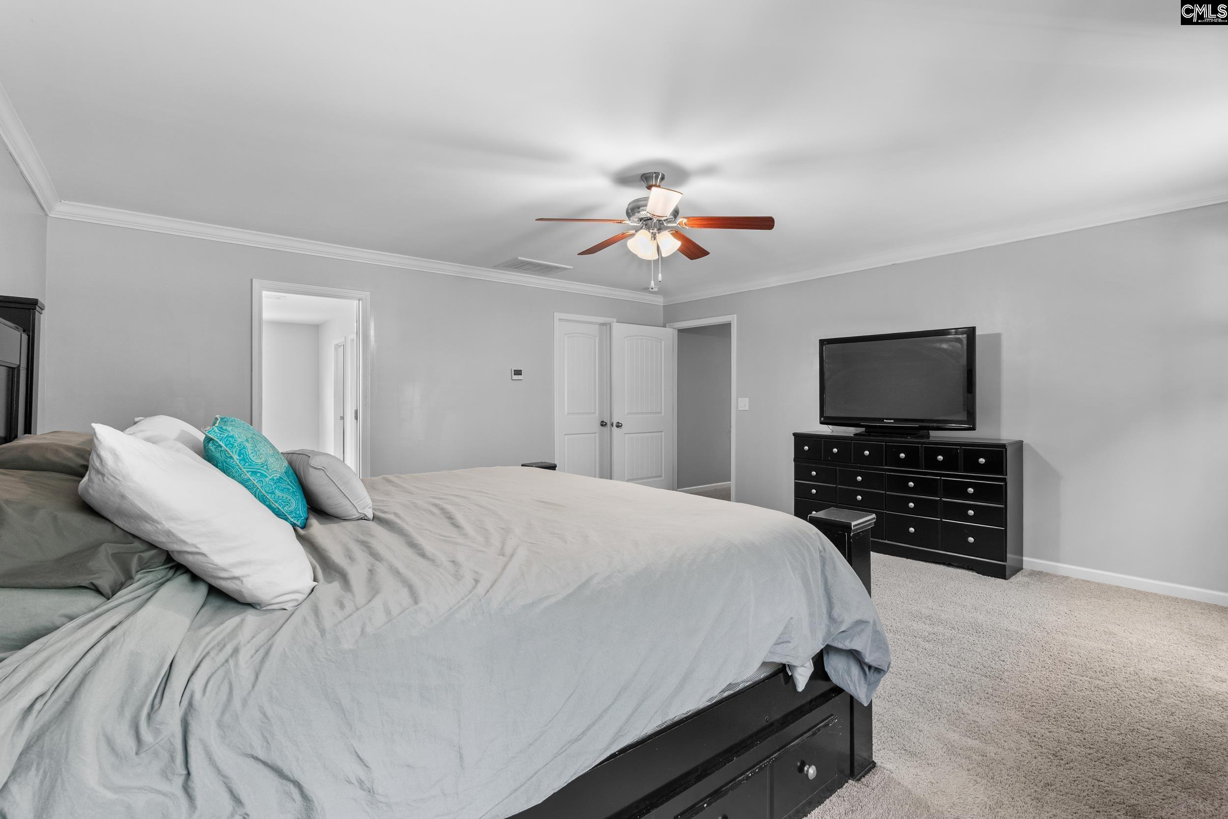 167 Sunsation Dr Chapin, SC 29036