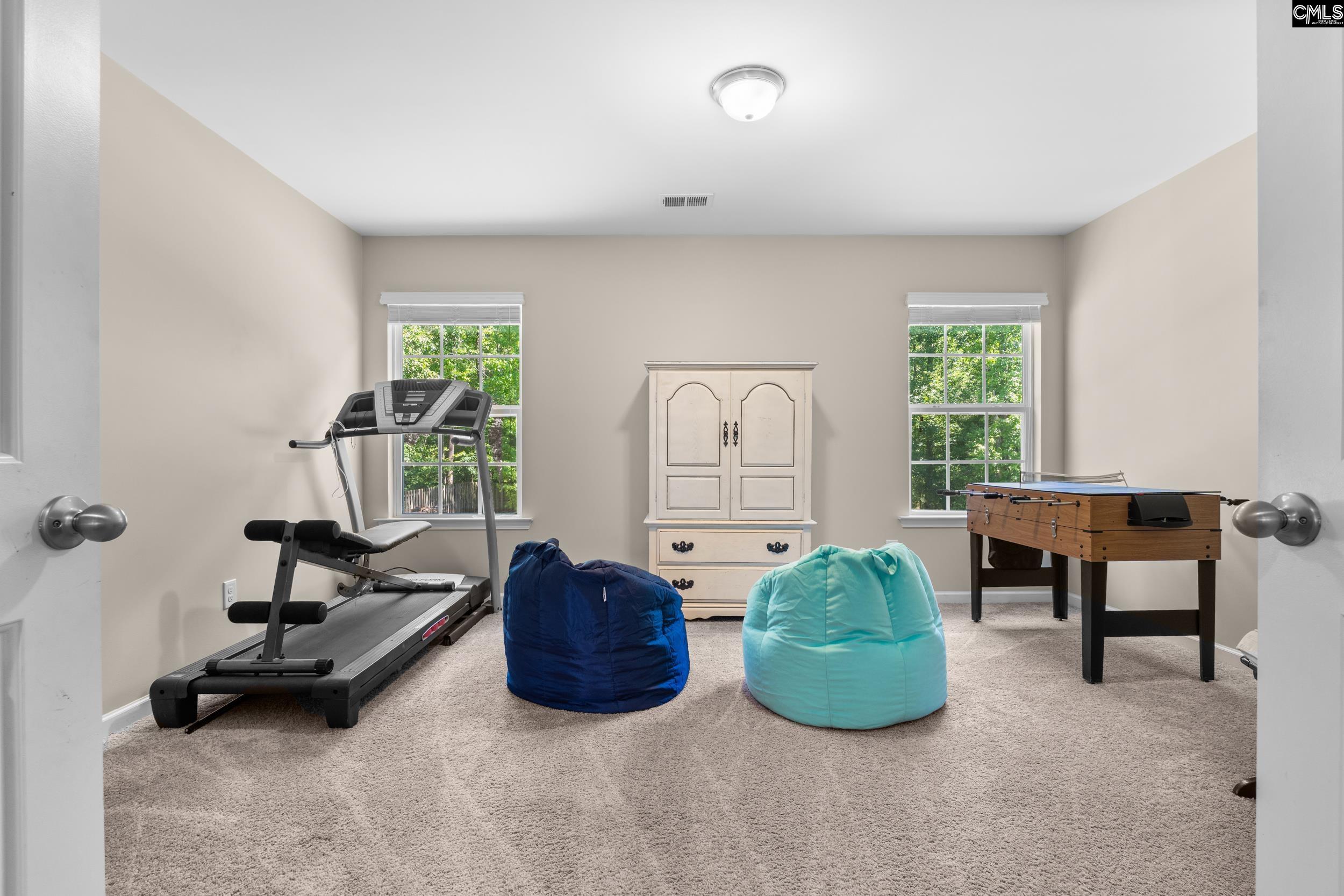 167 Sunsation Dr Chapin, SC 29036