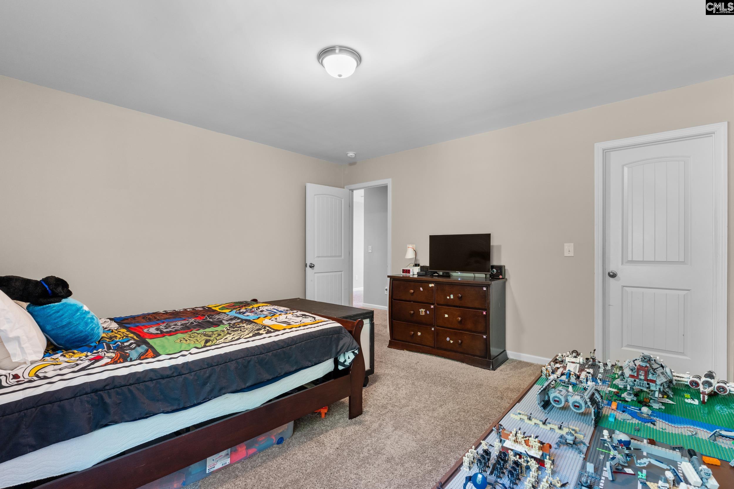 167 Sunsation Dr Chapin, SC 29036