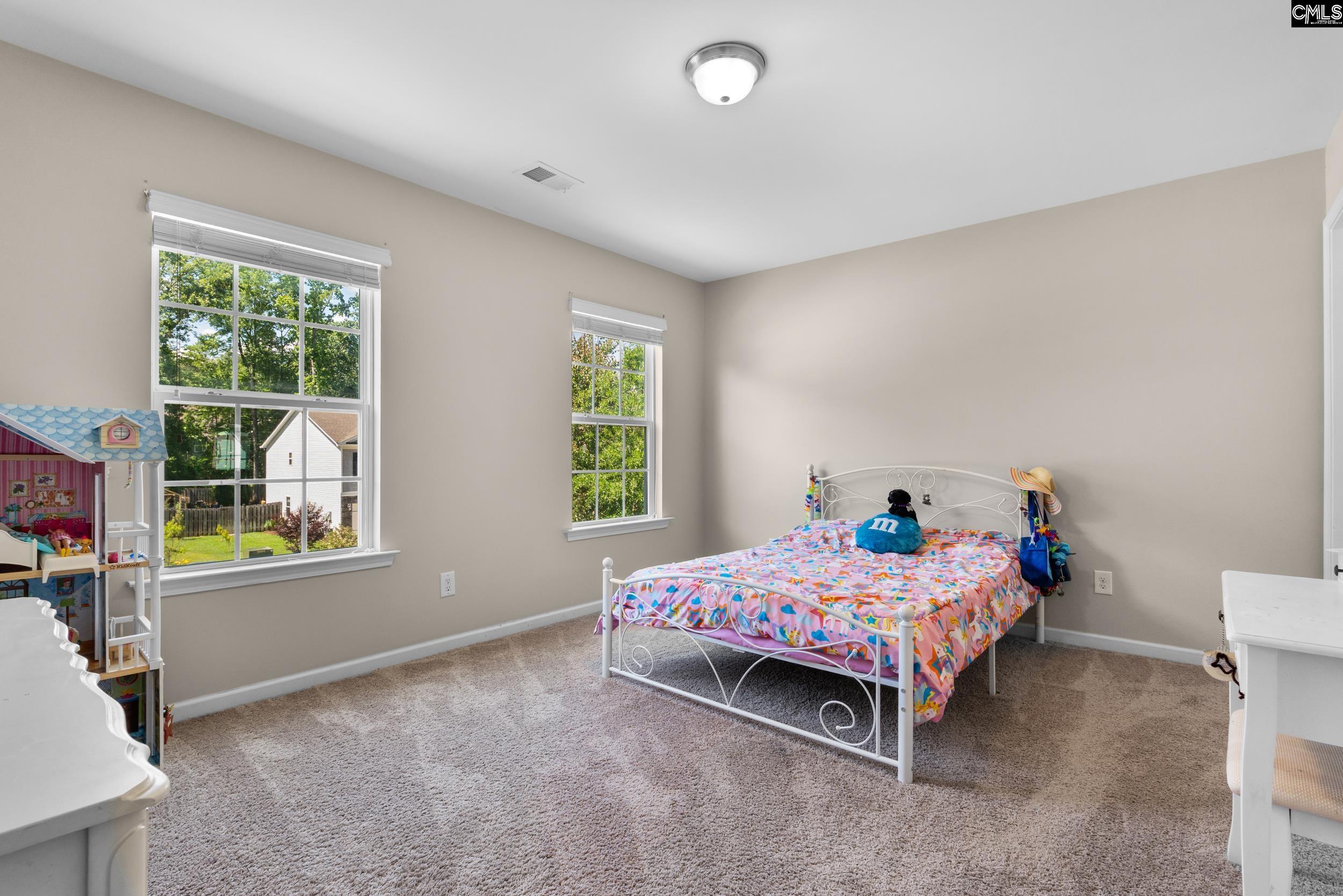 167 Sunsation Dr Chapin, SC 29036