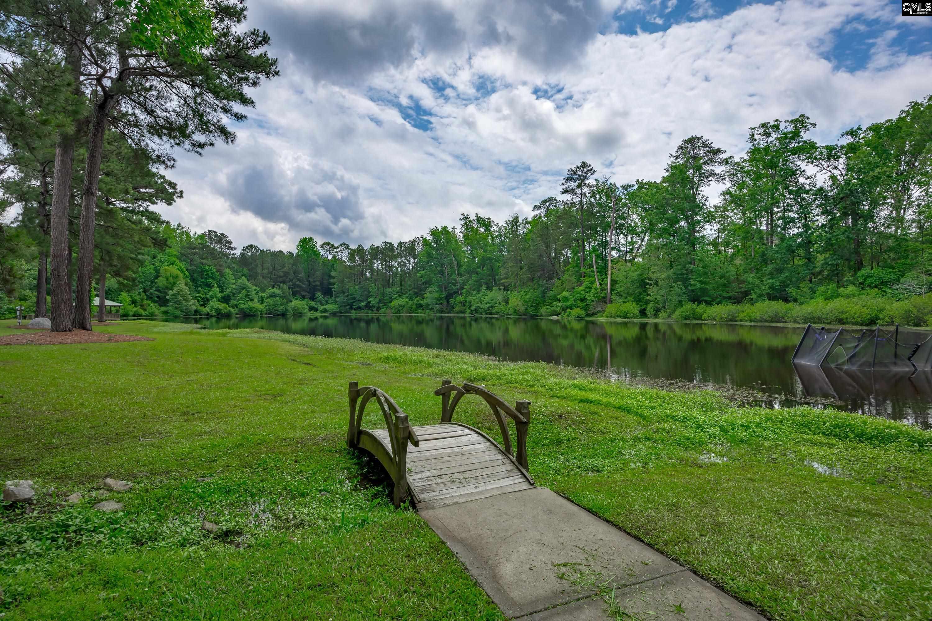 140 Autumn Stroll Court, Lexington, South Carolina image 50