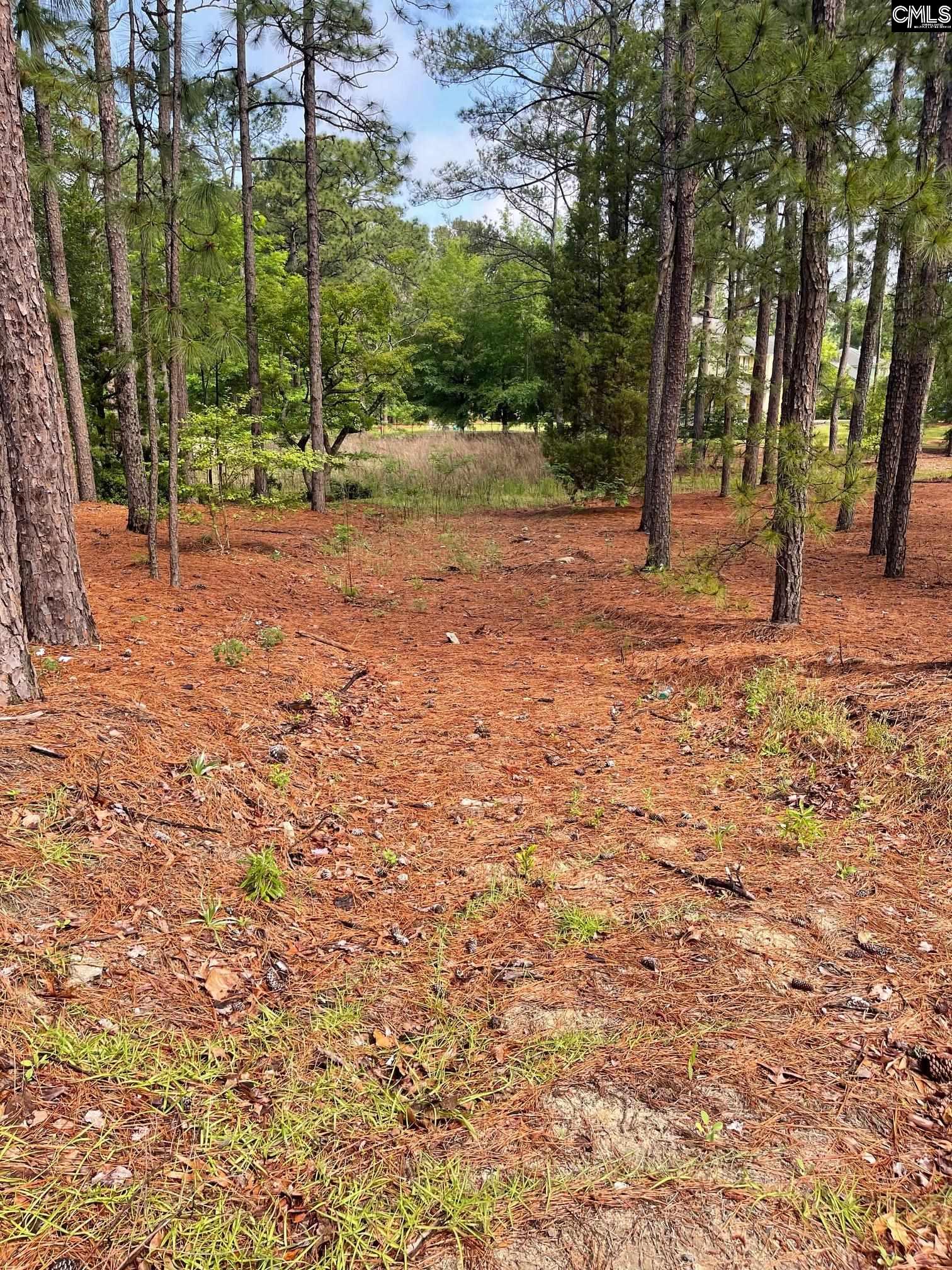 2233 Bee Ridge Road, Columbia, South Carolina image 2