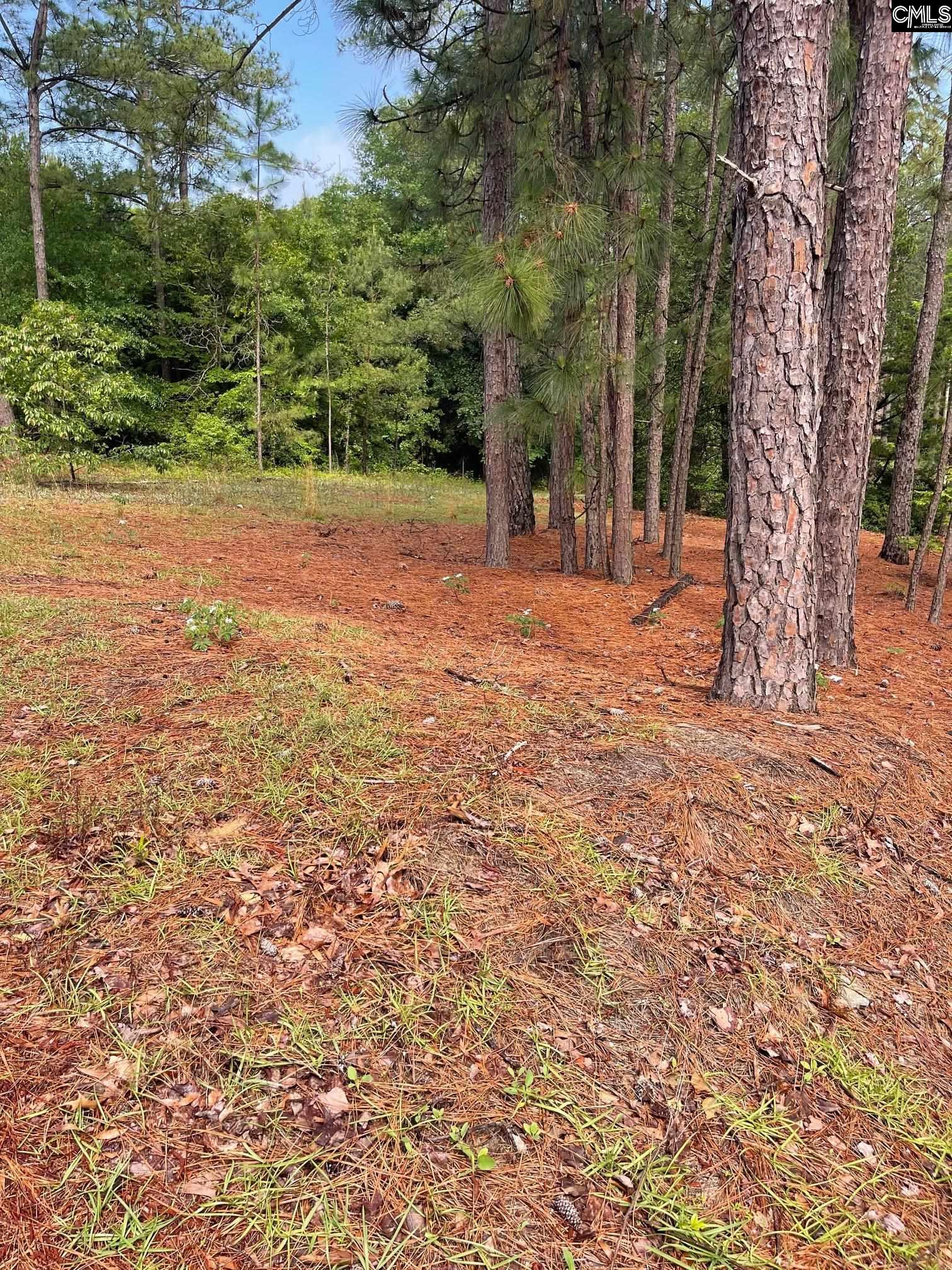2233 Bee Ridge Road, Columbia, South Carolina image 3