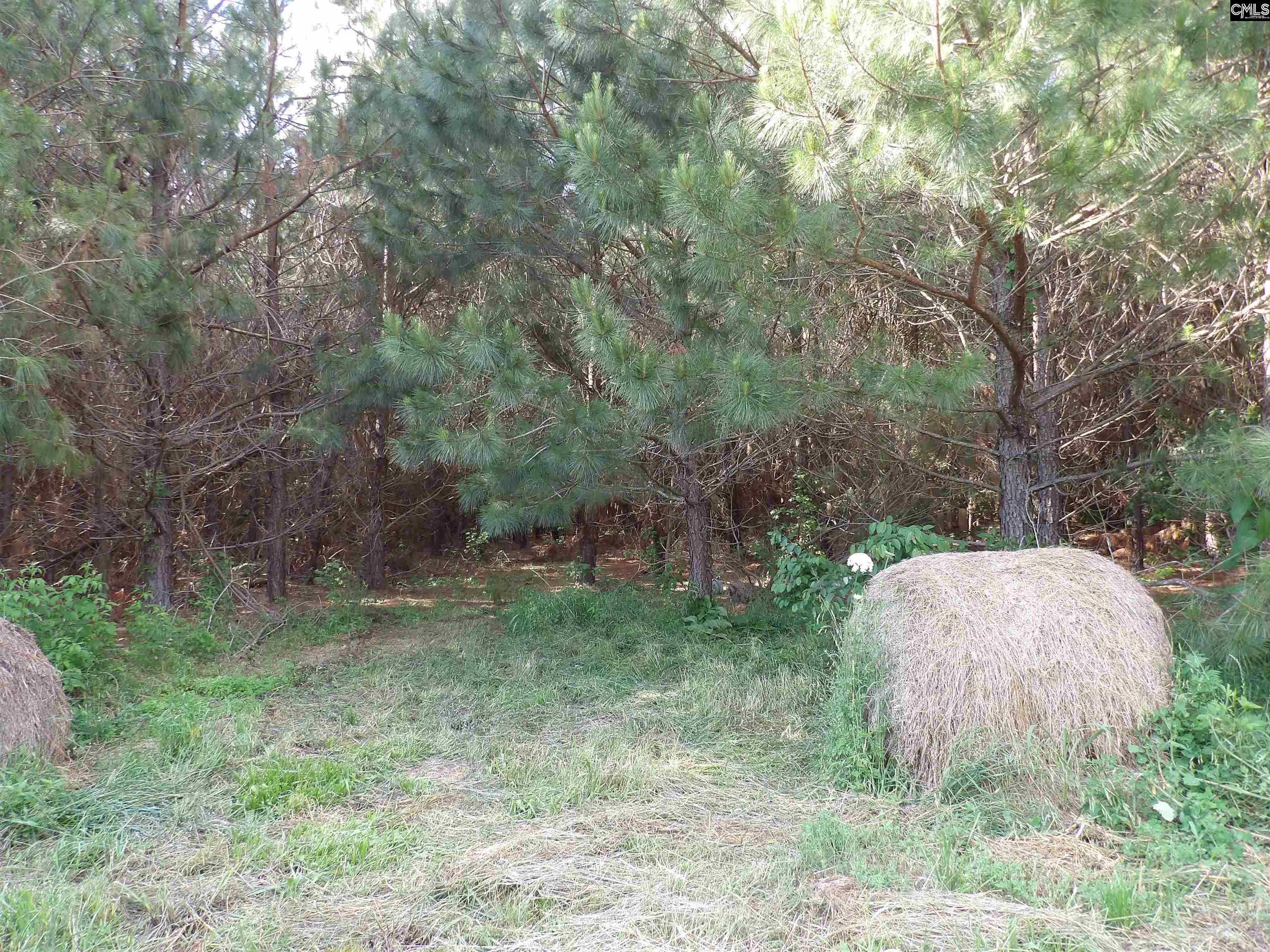 Mccormick Highway, Saluda, South Carolina image 12