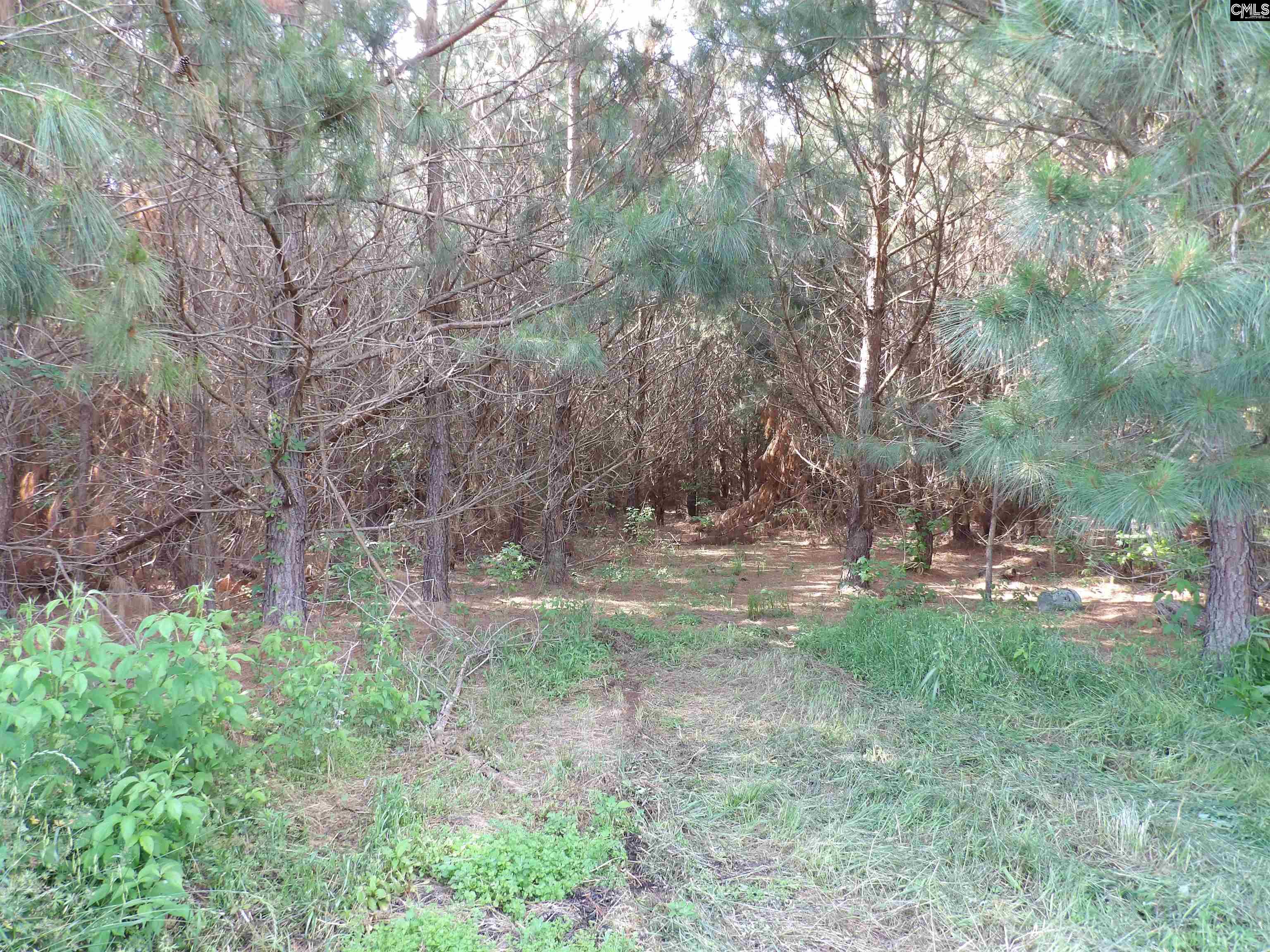 Mccormick Highway, Saluda, South Carolina image 13