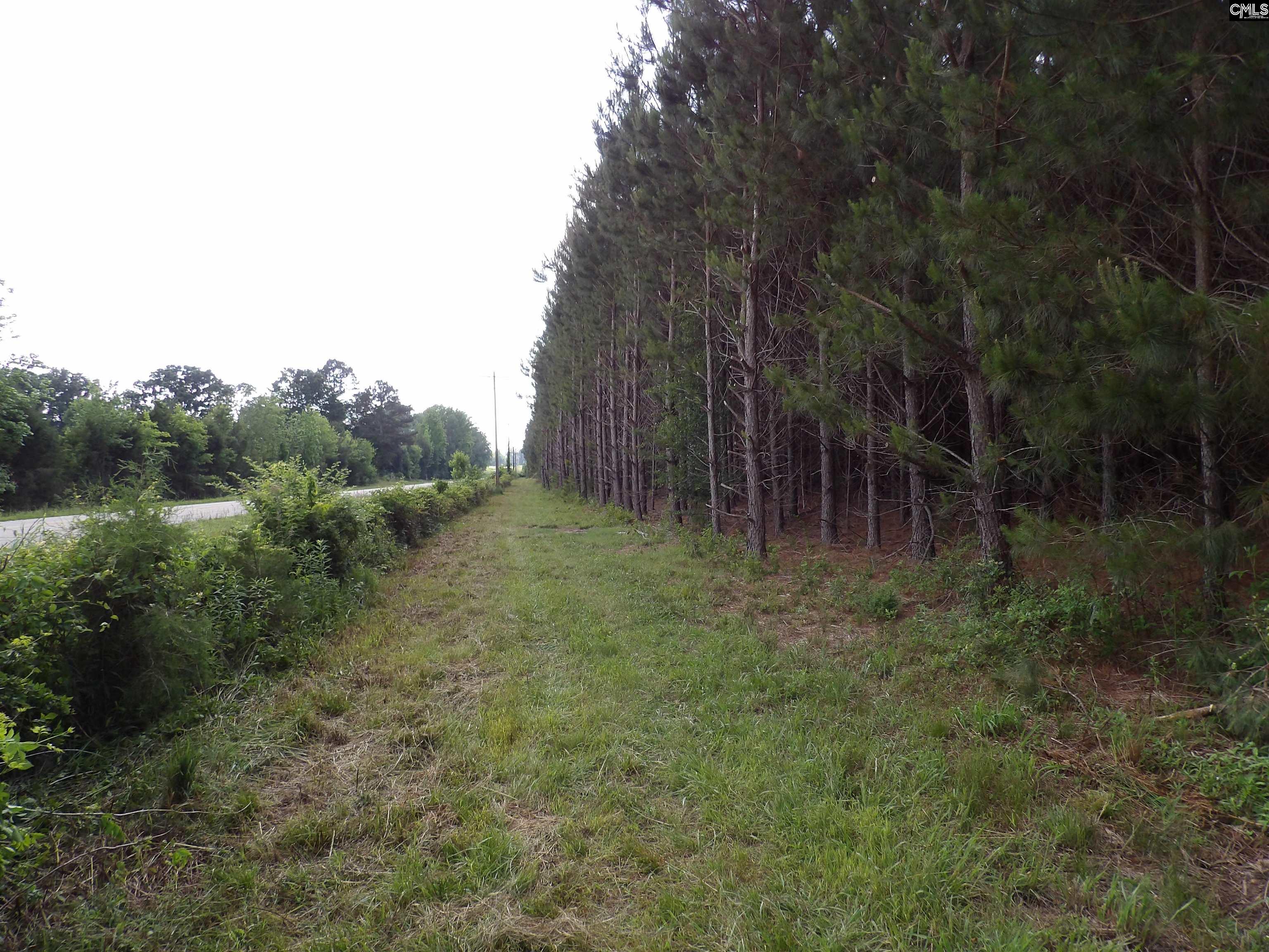 Mccormick Highway, Saluda, South Carolina image 6