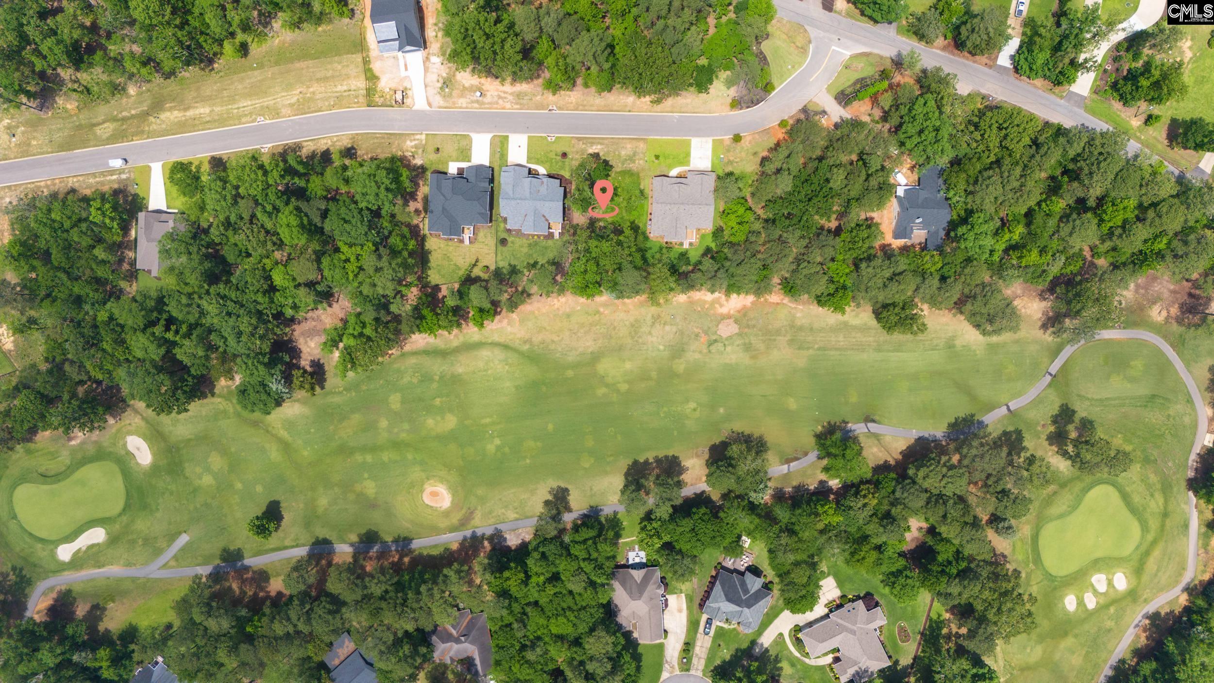 521 Misty Banks Drive, Chapin, South Carolina image 2