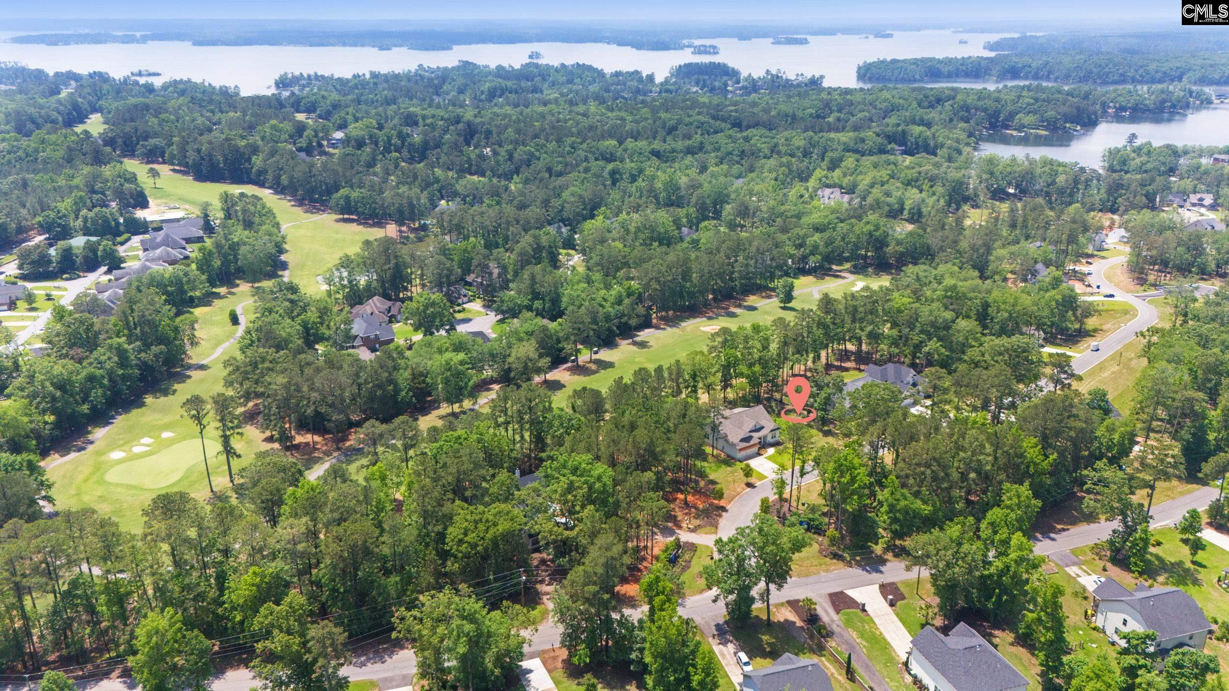 521 Misty Banks Drive, Chapin, South Carolina image 12