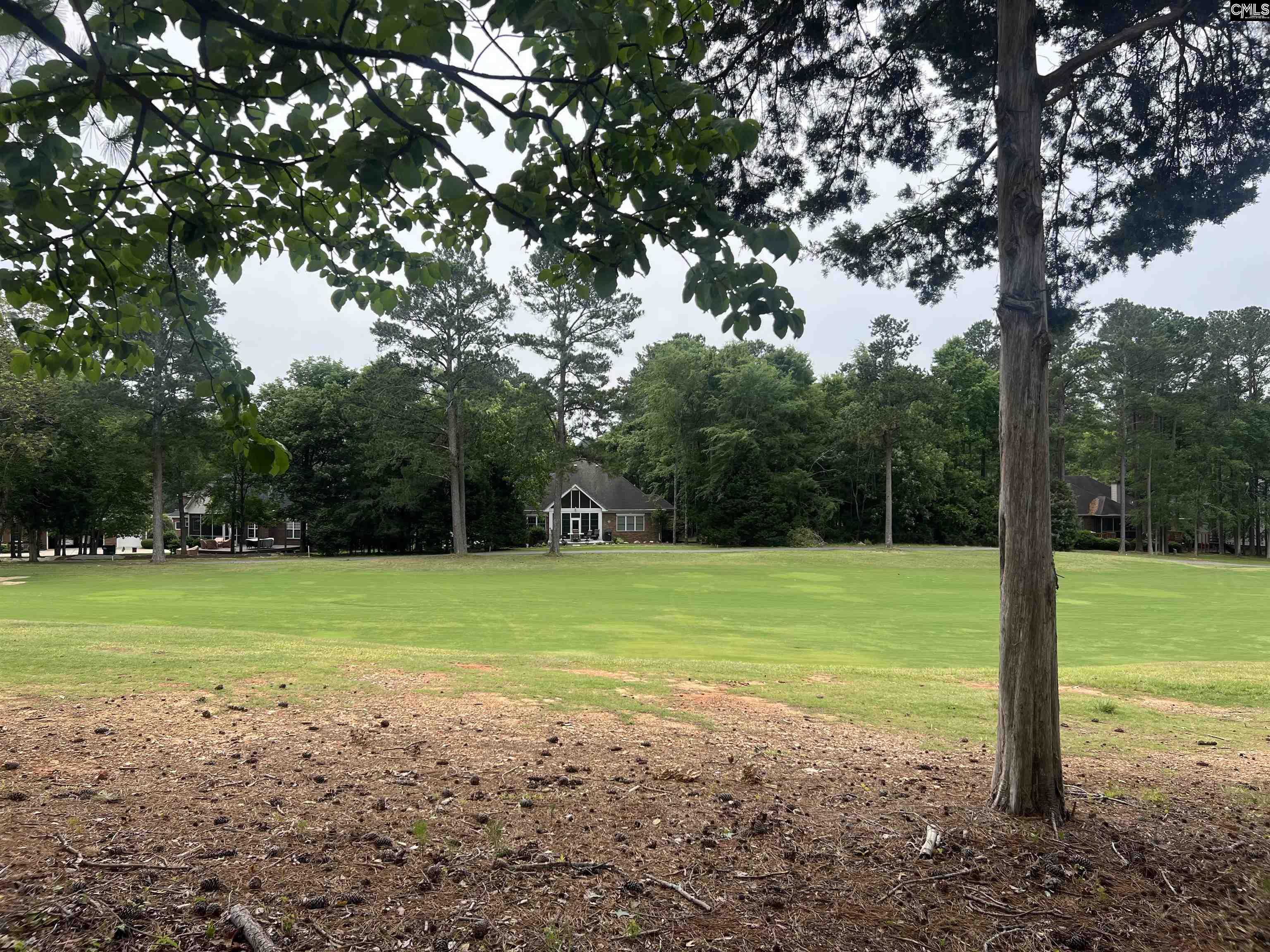 521 Misty Banks Drive UNIT #5 Chapin, SC 29036-7202