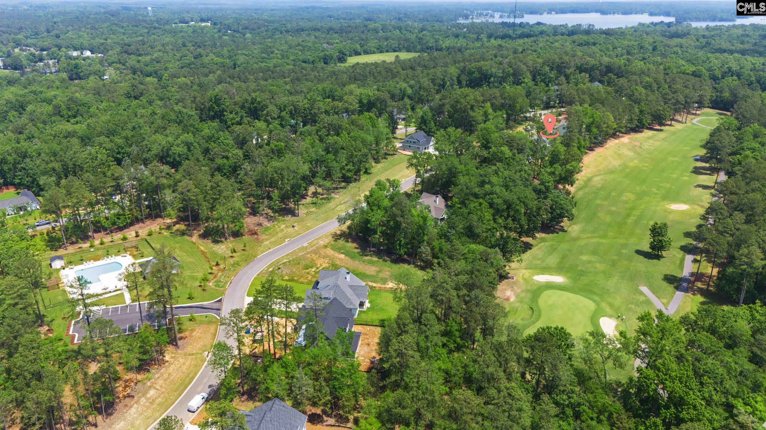 521 Misty Banks Drive, Chapin, South Carolina image 13
