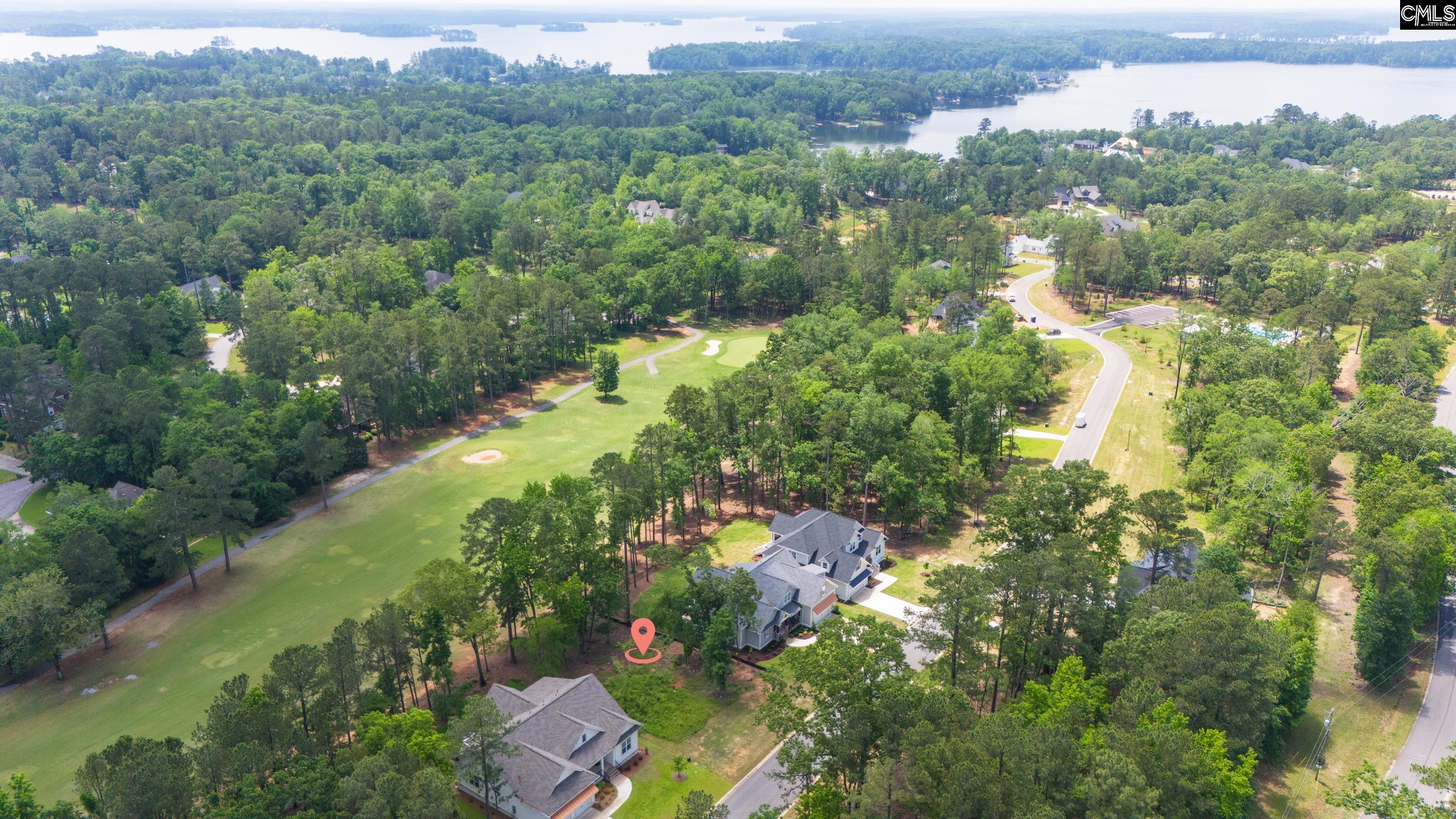 521 Misty Banks Drive, Chapin, South Carolina image 3