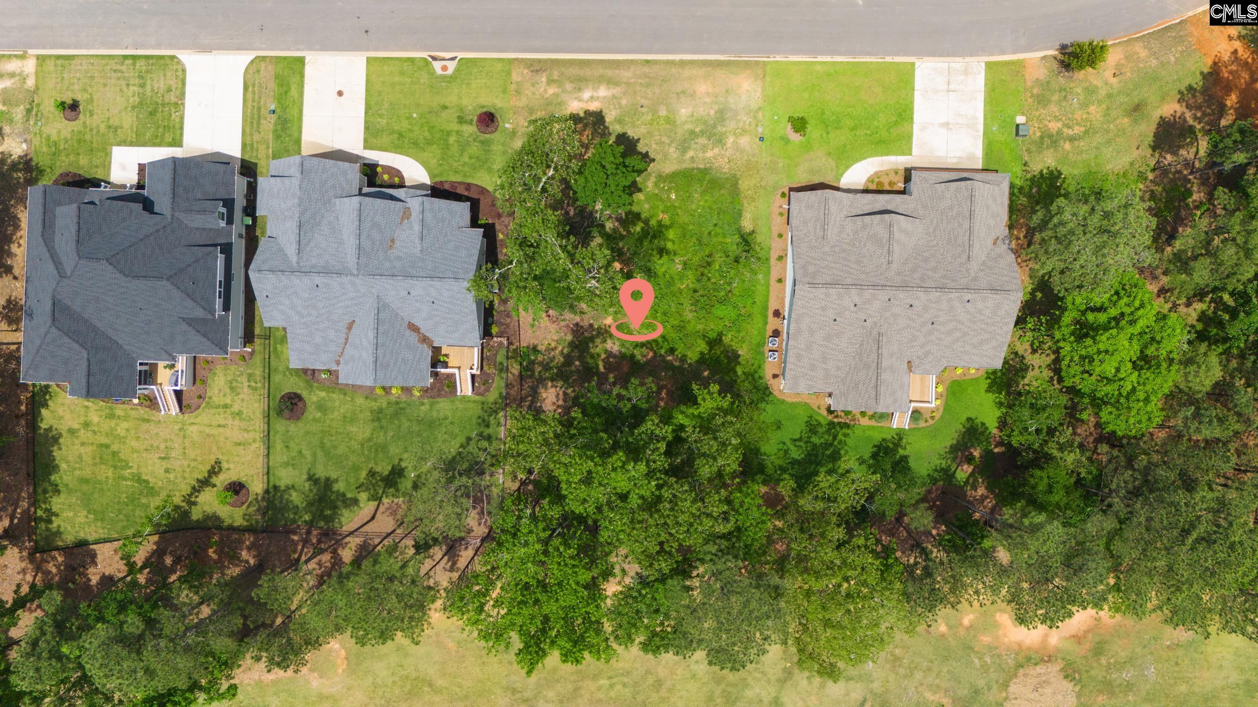 521 Misty Banks Drive, Chapin, South Carolina image 4