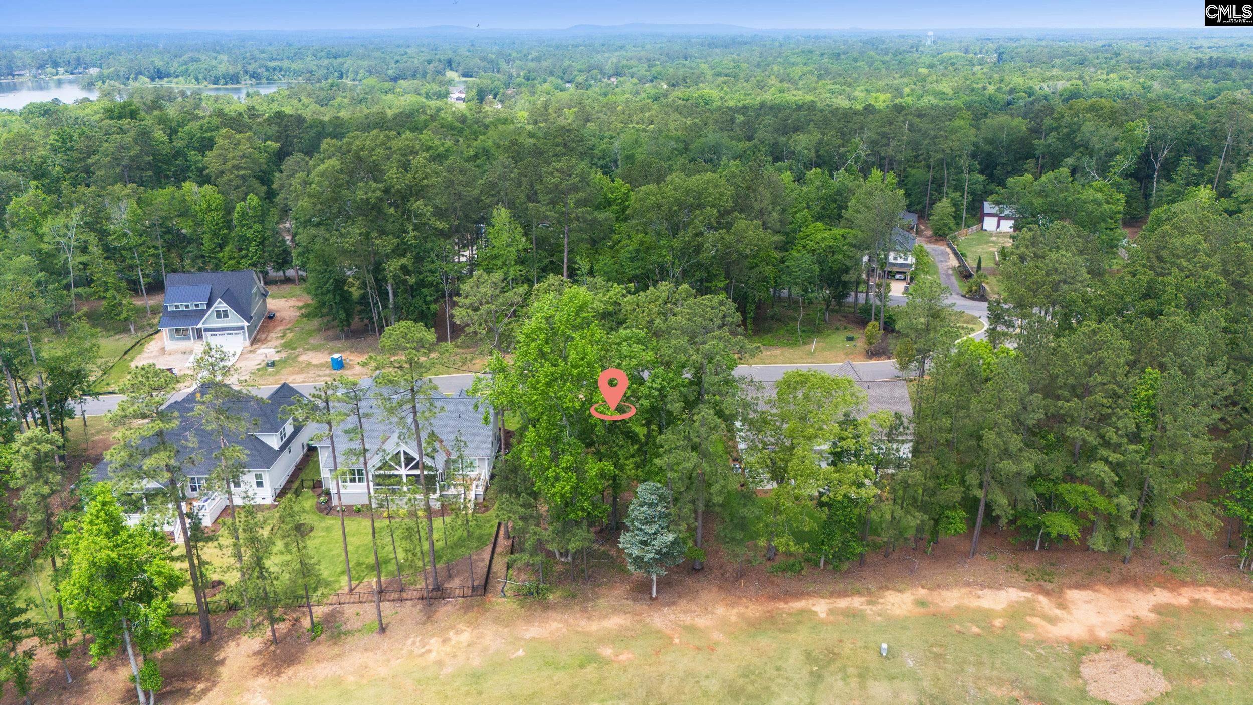 521 Misty Banks Drive, Chapin, South Carolina image 5