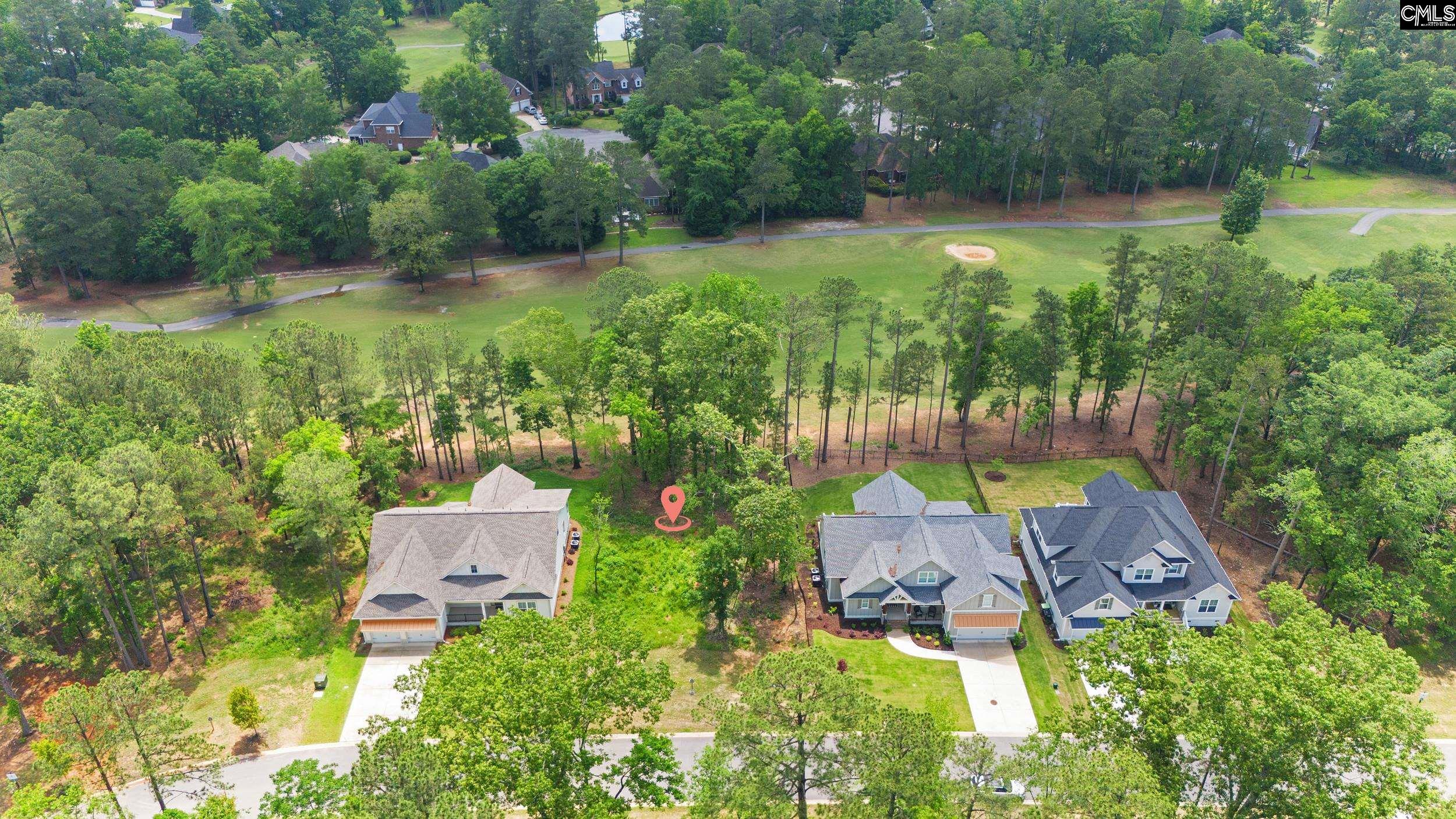 521 Misty Banks Drive, Chapin, South Carolina image 6