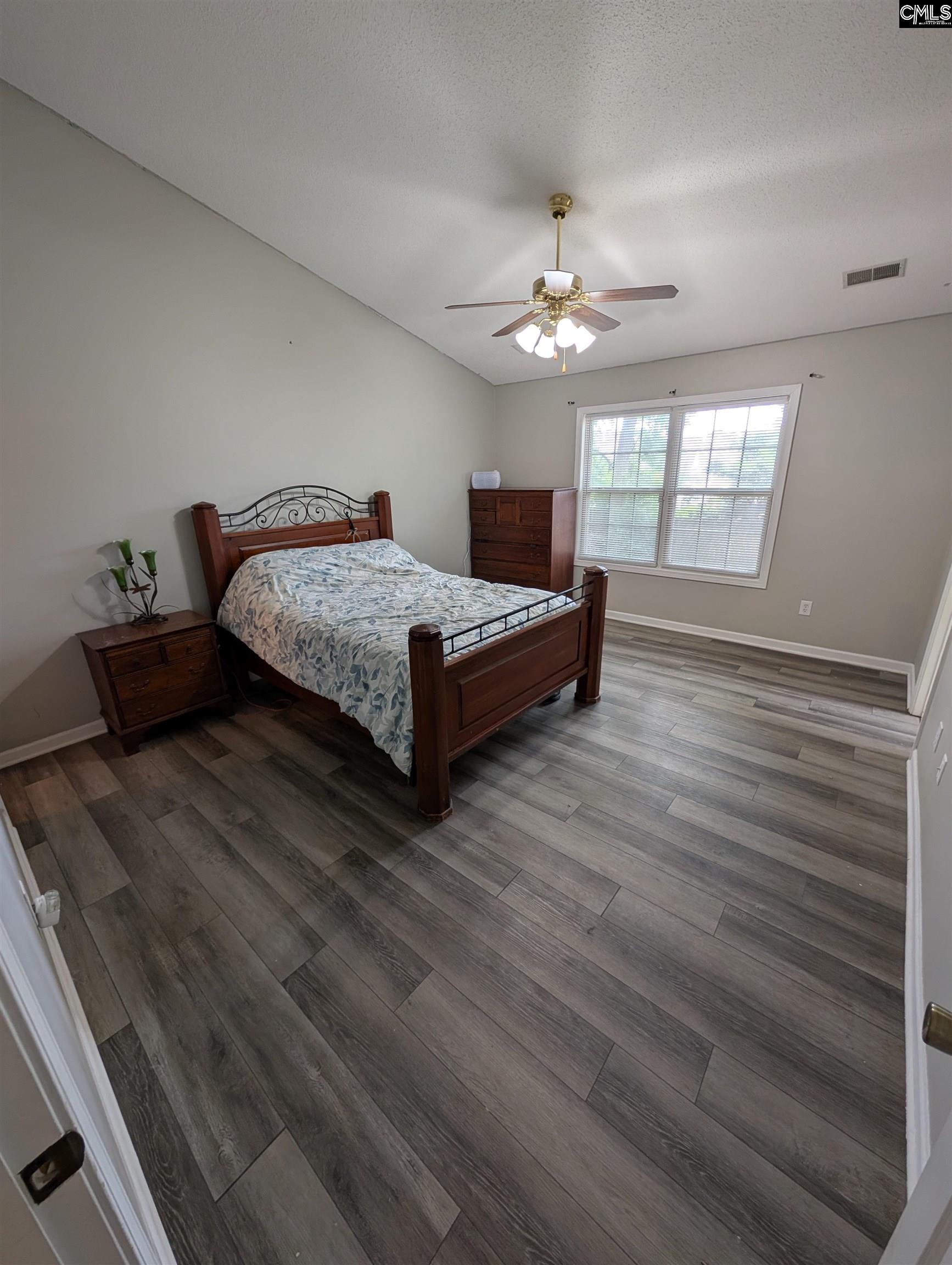 667 Park Road, Lexington, South Carolina image 14