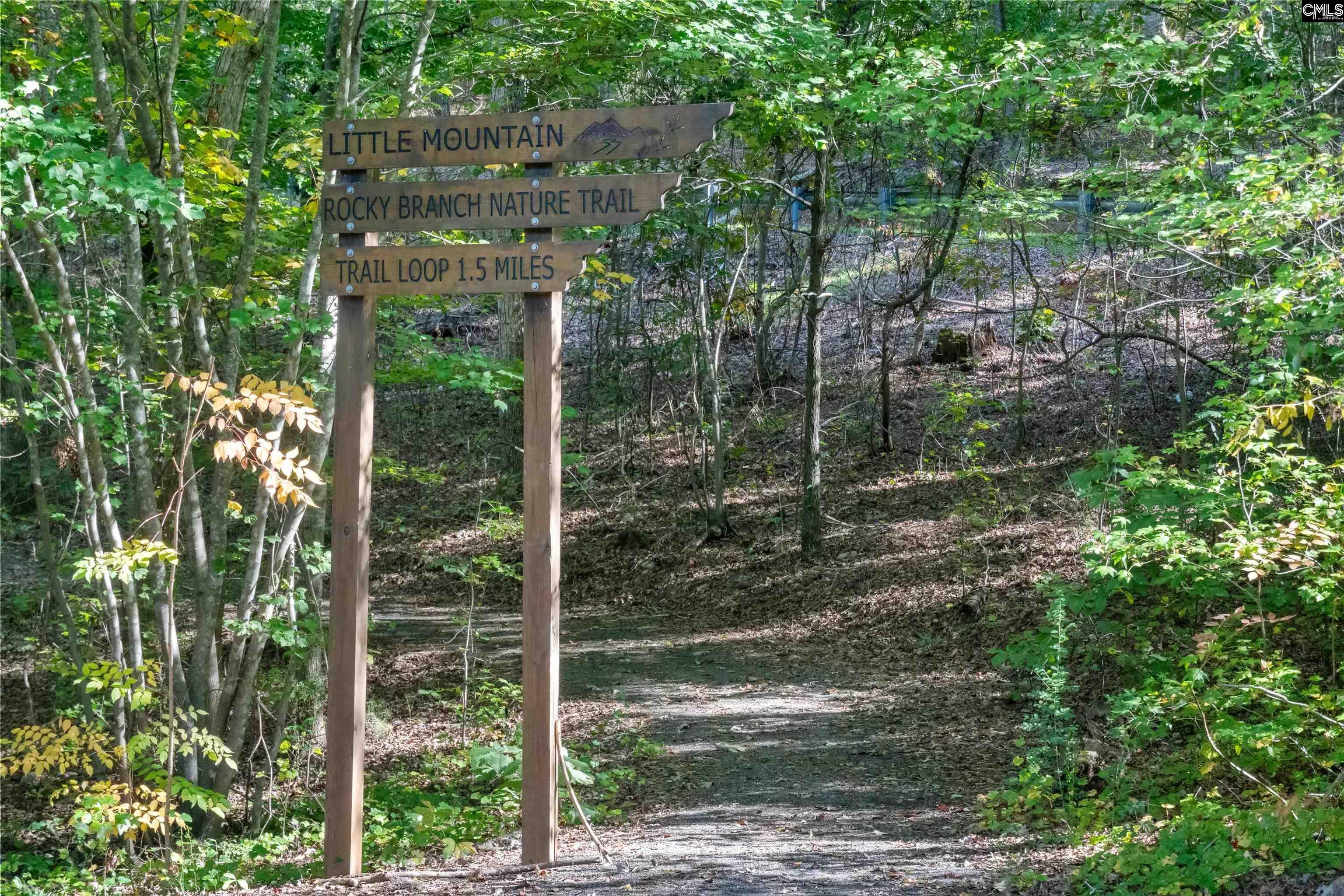 189 Caballeros Trail, Prosperity, South Carolina image 23