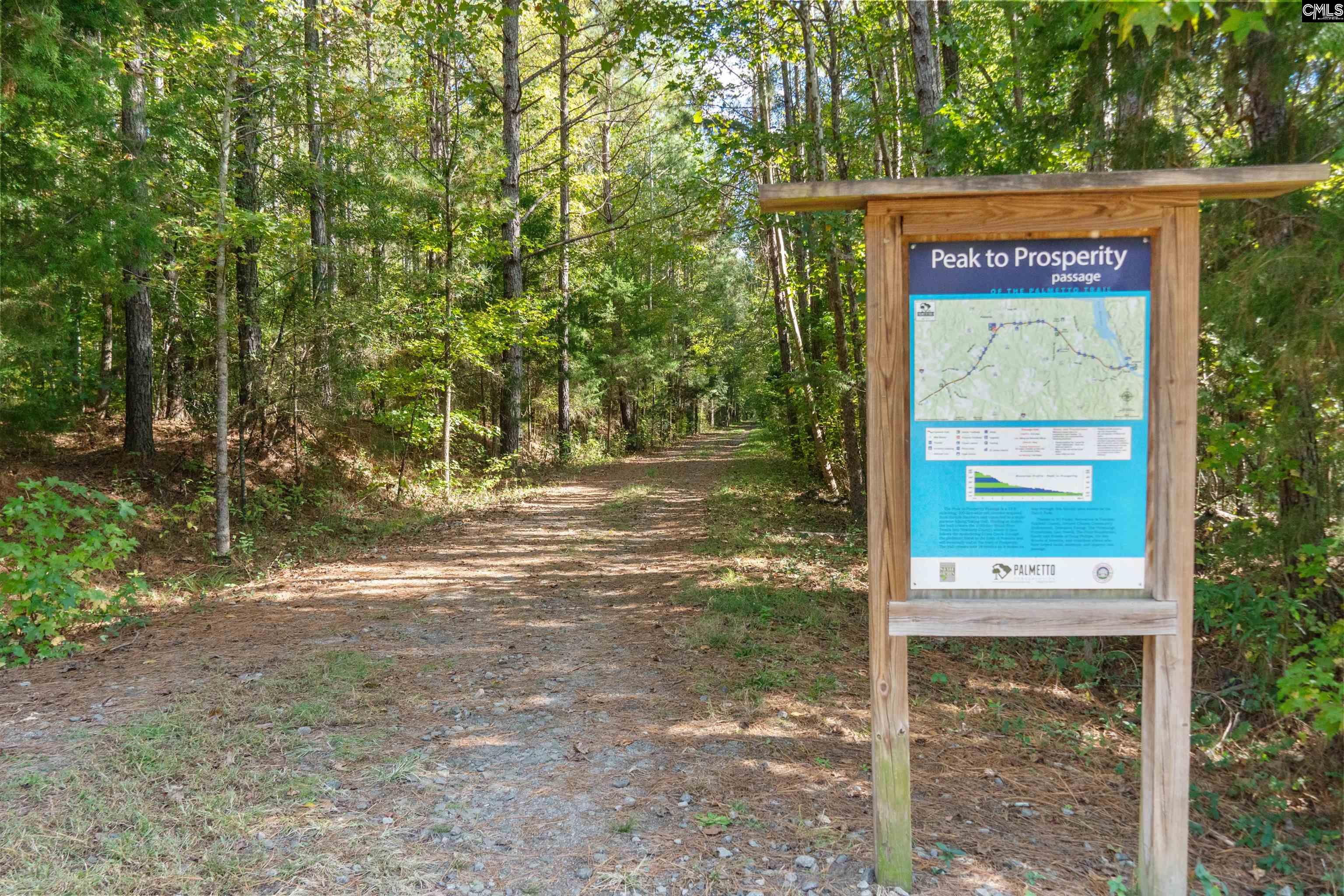 189 Caballeros Trail, Prosperity, South Carolina image 24