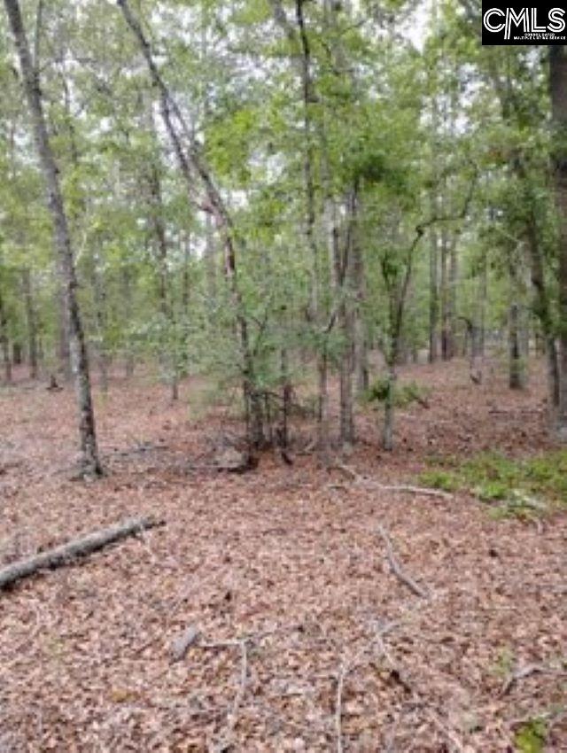 Double Pond Road, Blackville, South Carolina image 11