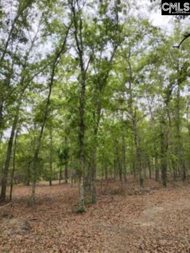 Double Pond Road, Blackville, South Carolina image 12