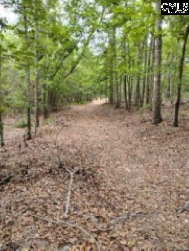 Double Pond Road, Blackville, South Carolina image 14