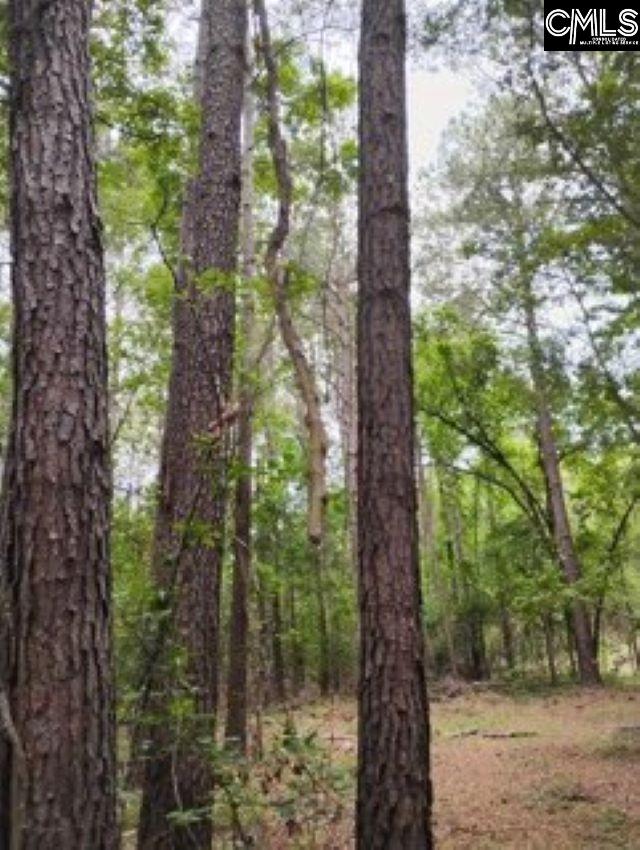 Double Pond Road, Blackville, South Carolina image 16