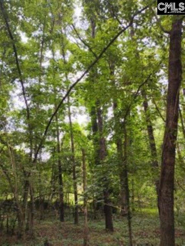 Double Pond Road, Blackville, South Carolina image 17