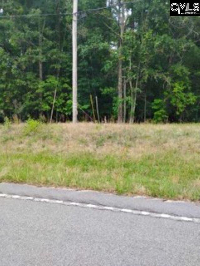 Double Pond Road, Blackville, South Carolina image 3