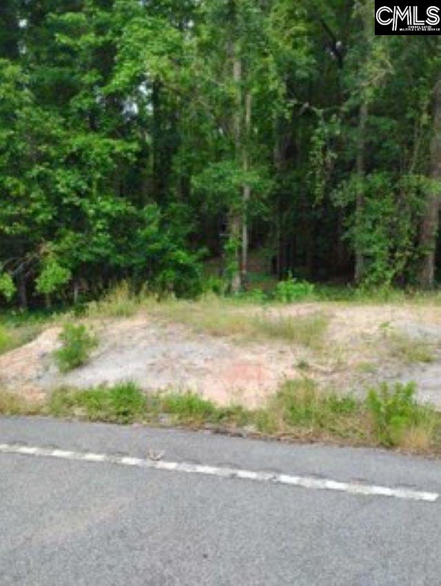 Double Pond Road, Blackville, South Carolina image 4