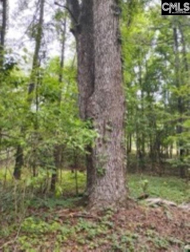 Double Pond Road, Blackville, South Carolina image 5