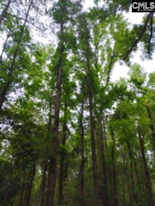 Double Pond Road, Blackville, South Carolina image 6