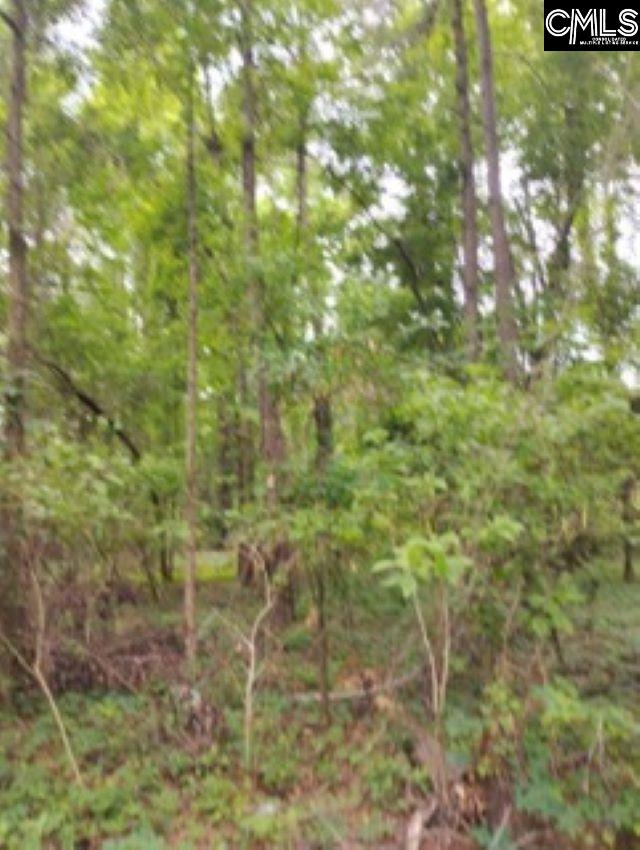 Double Pond Road, Blackville, South Carolina image 8
