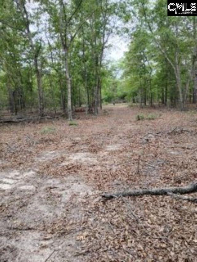 Double Pond Road, Blackville, South Carolina image 10