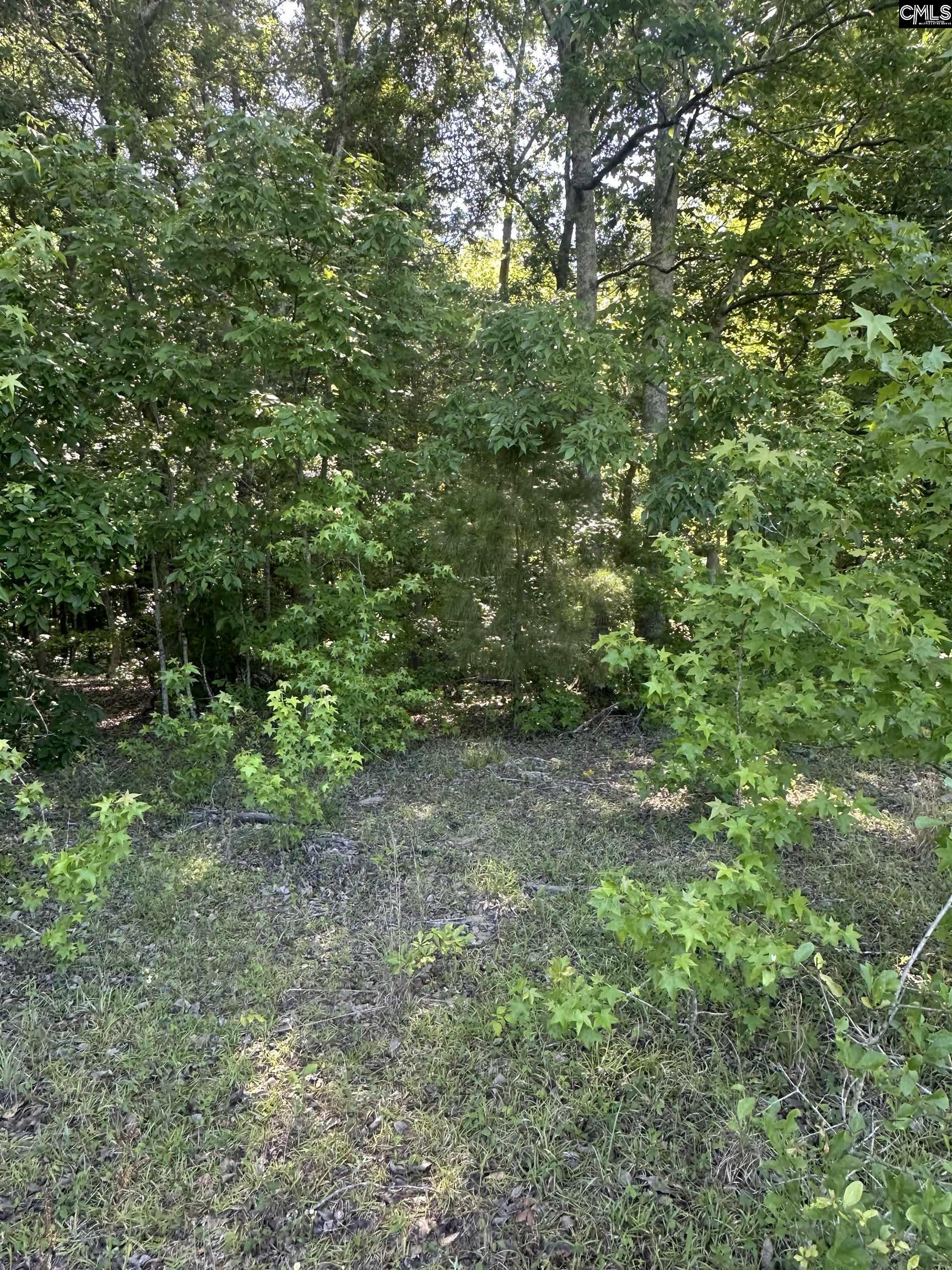 Image 19