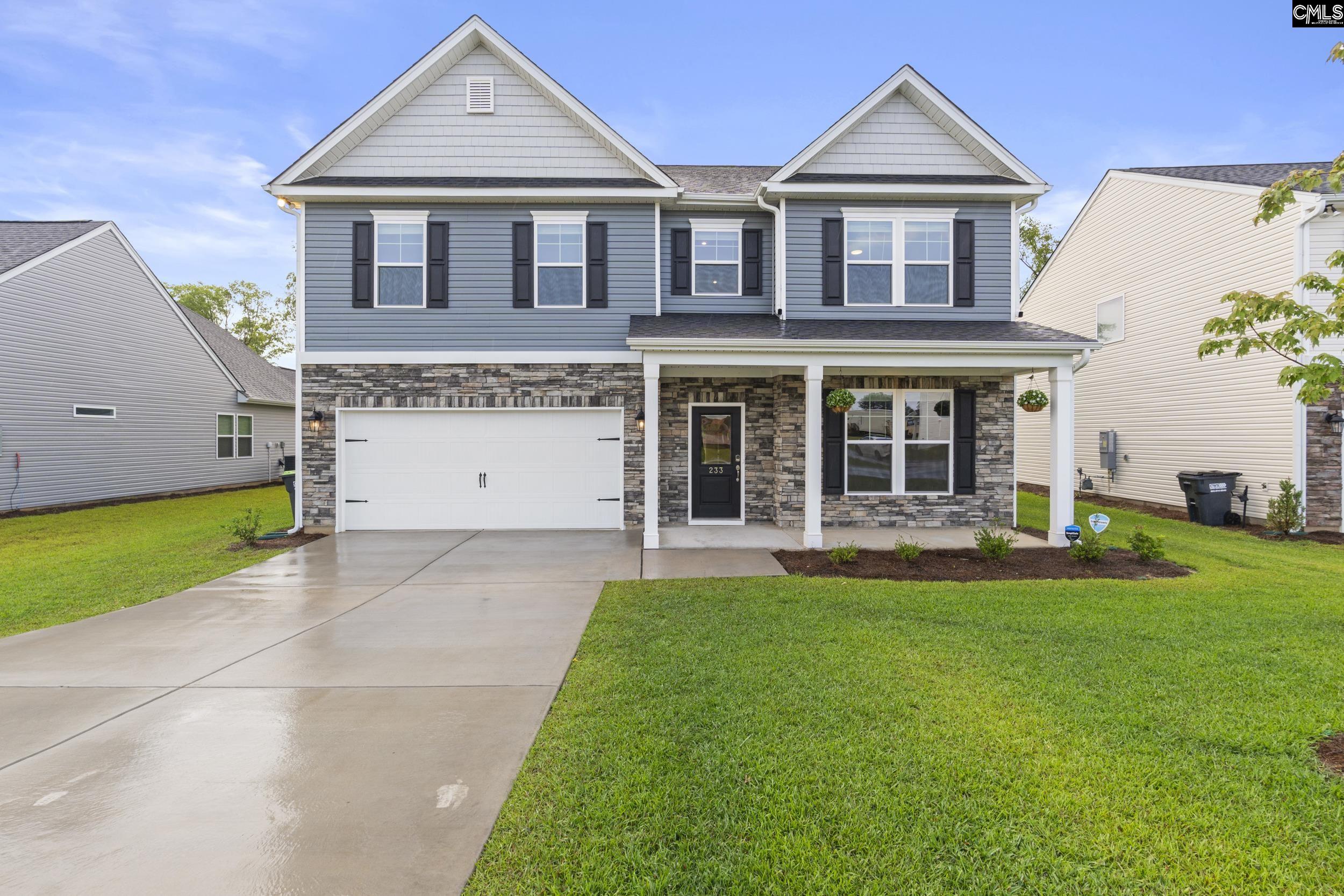 233 Chapin Place, Chapin, South Carolina image 1