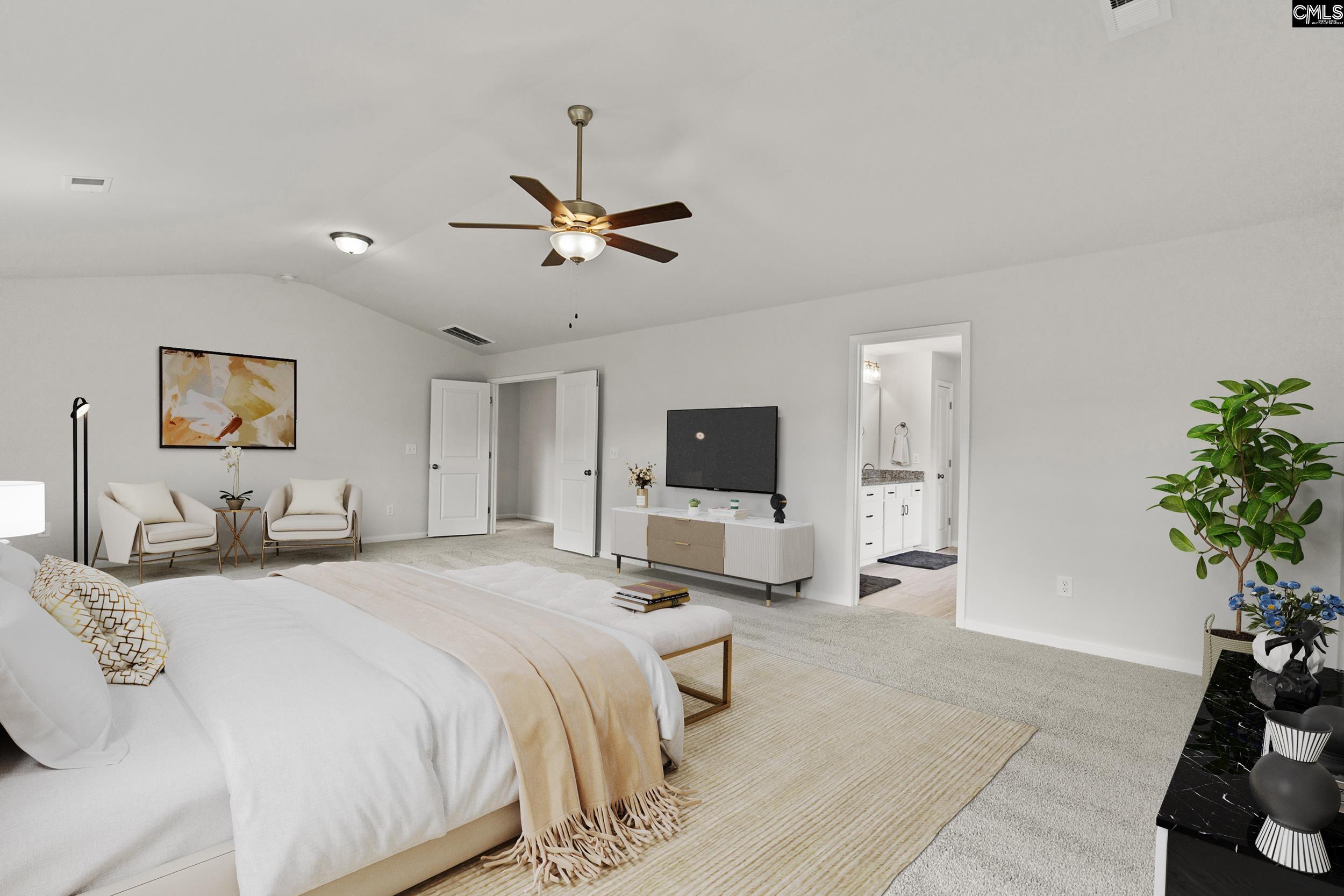 233 Chapin Place, Chapin, South Carolina image 15
