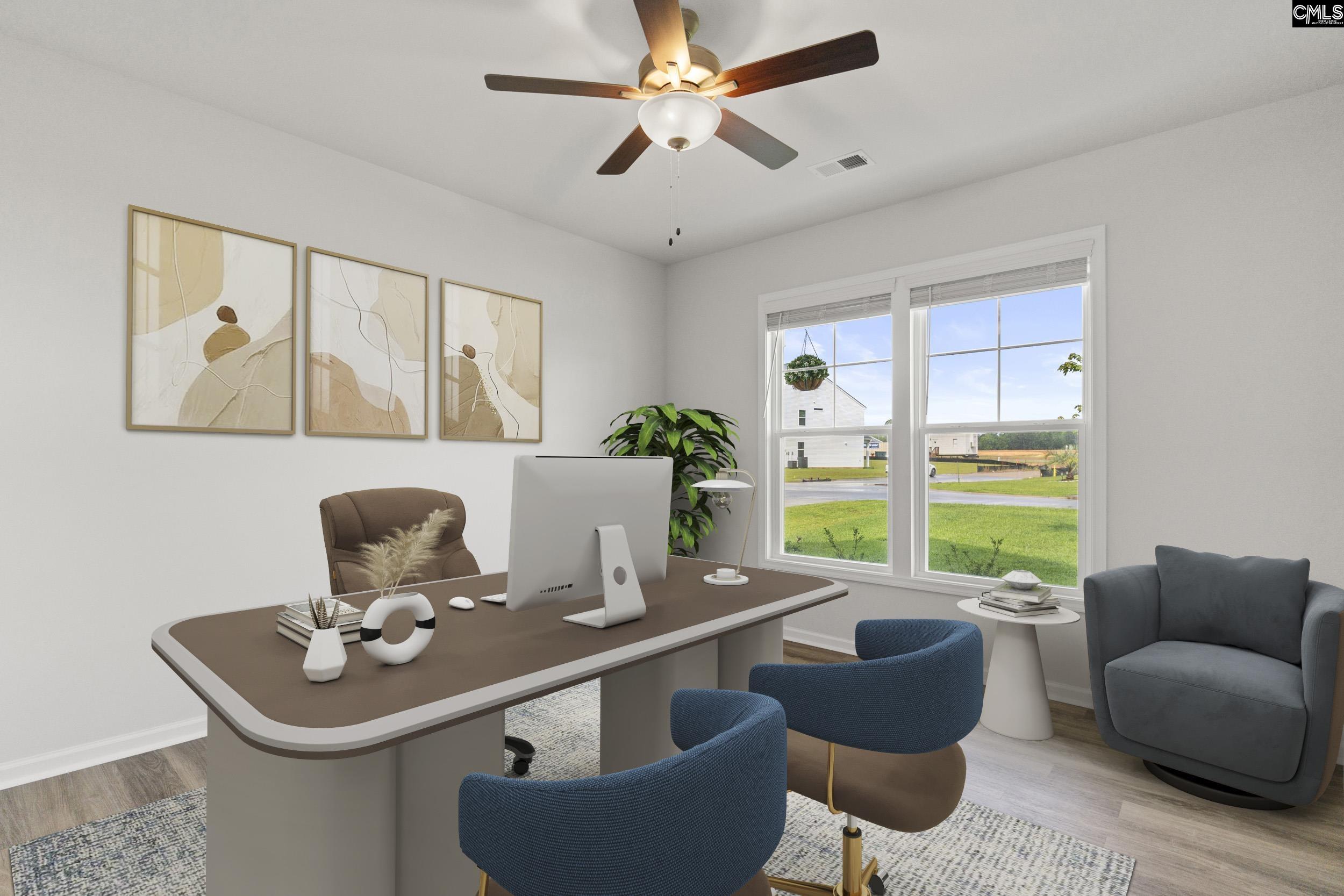 233 Chapin Place, Chapin, South Carolina image 3