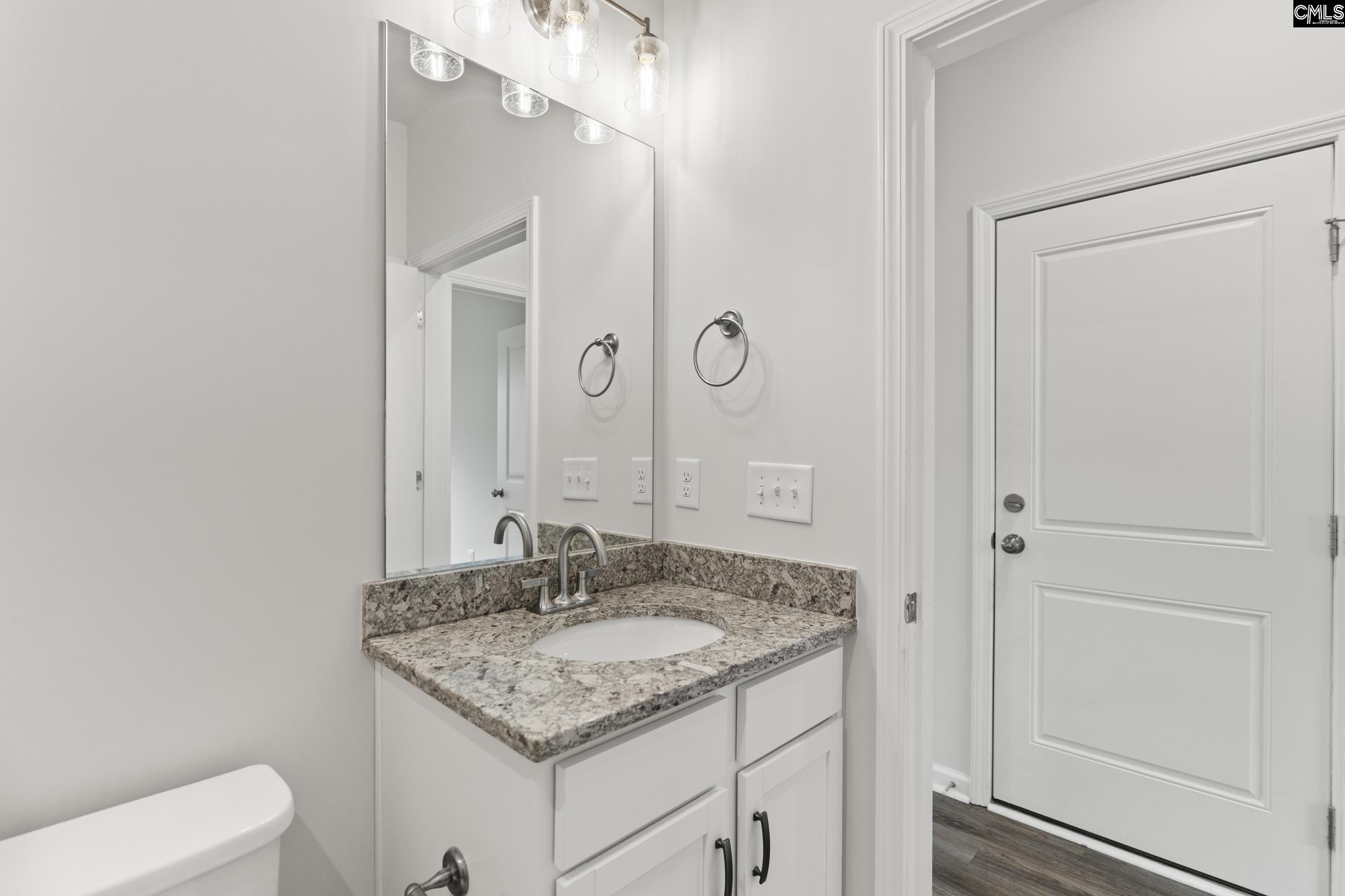 233 Chapin Place, Chapin, South Carolina image 21