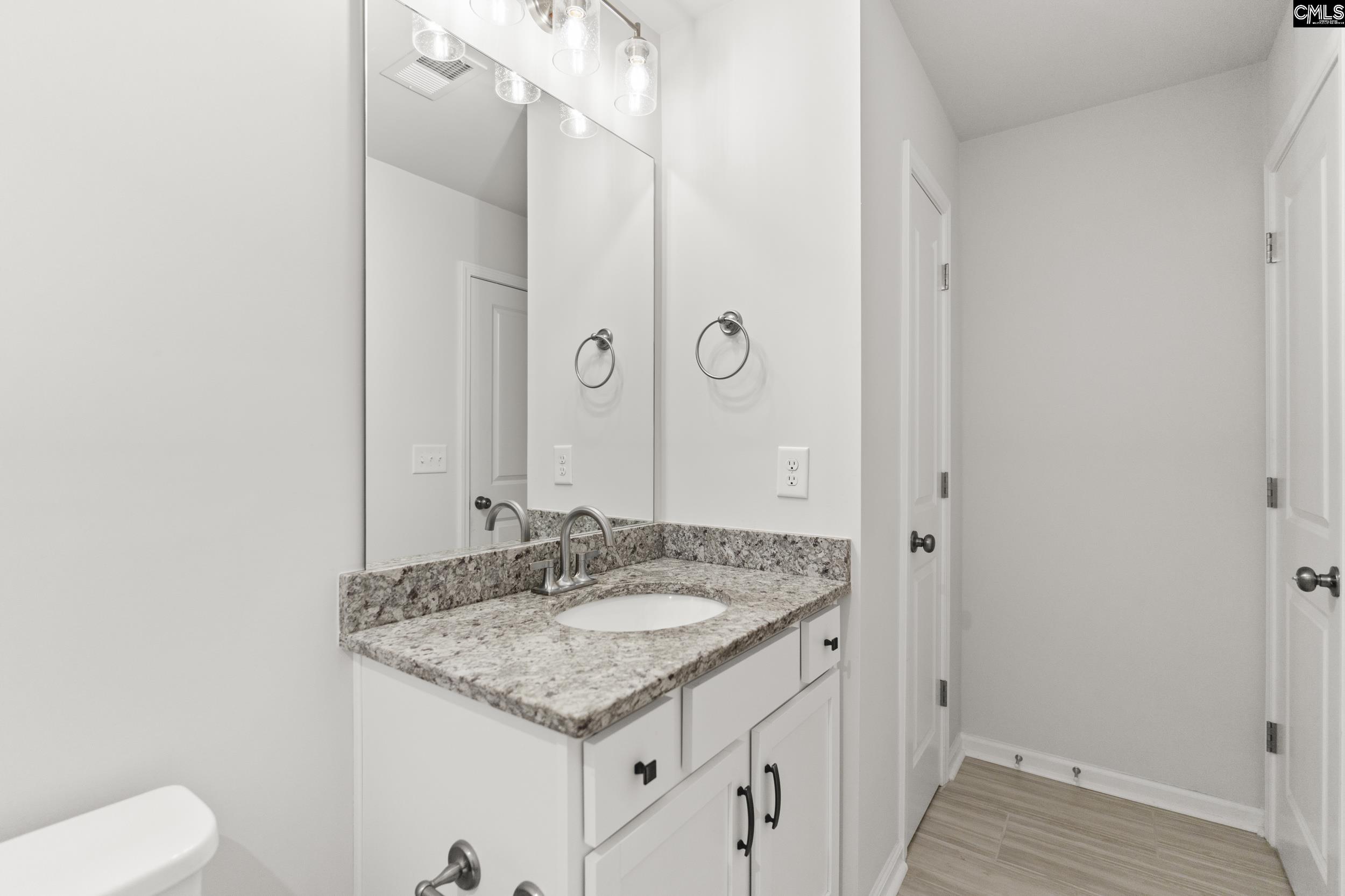 233 Chapin Place, Chapin, South Carolina image 25