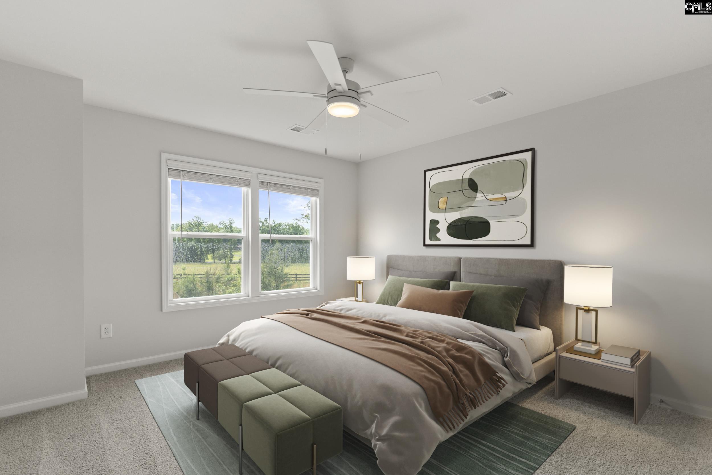 233 Chapin Place, Chapin, South Carolina image 26