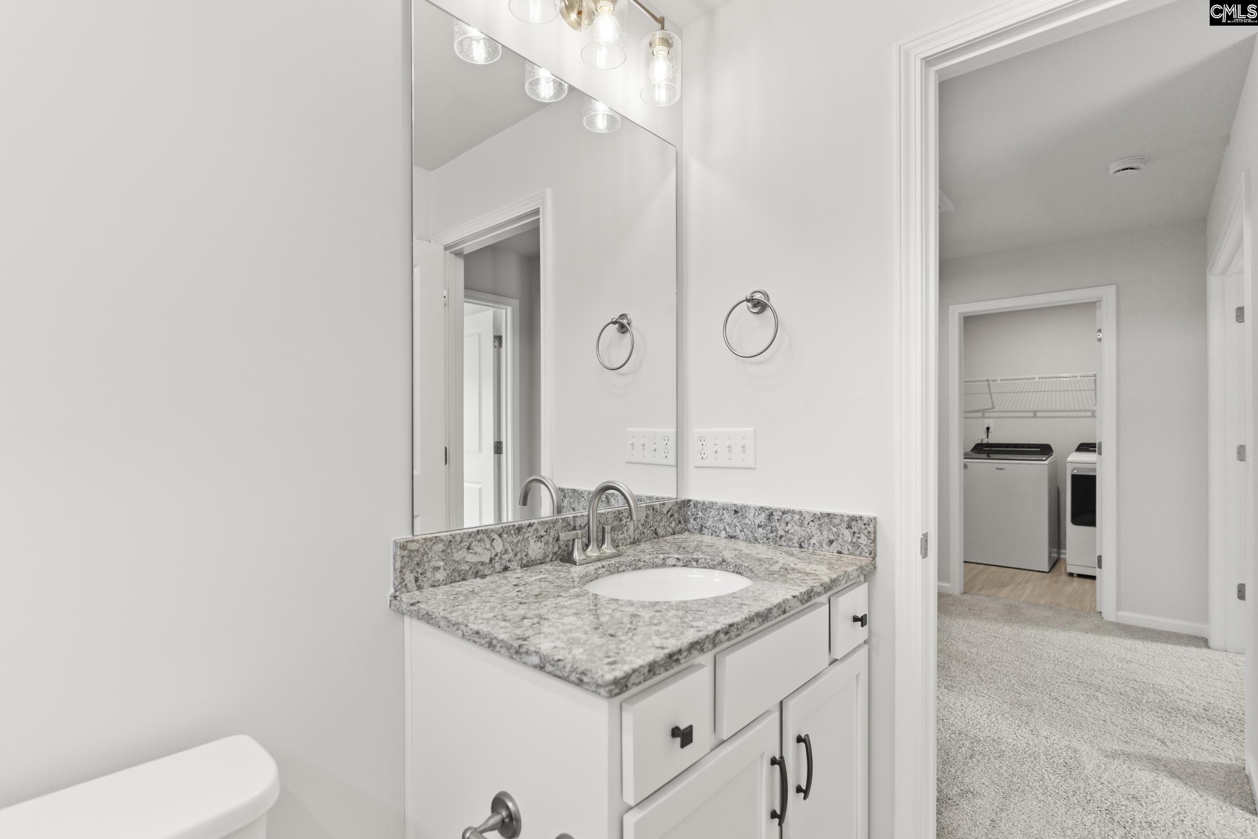233 Chapin Place, Chapin, South Carolina image 29