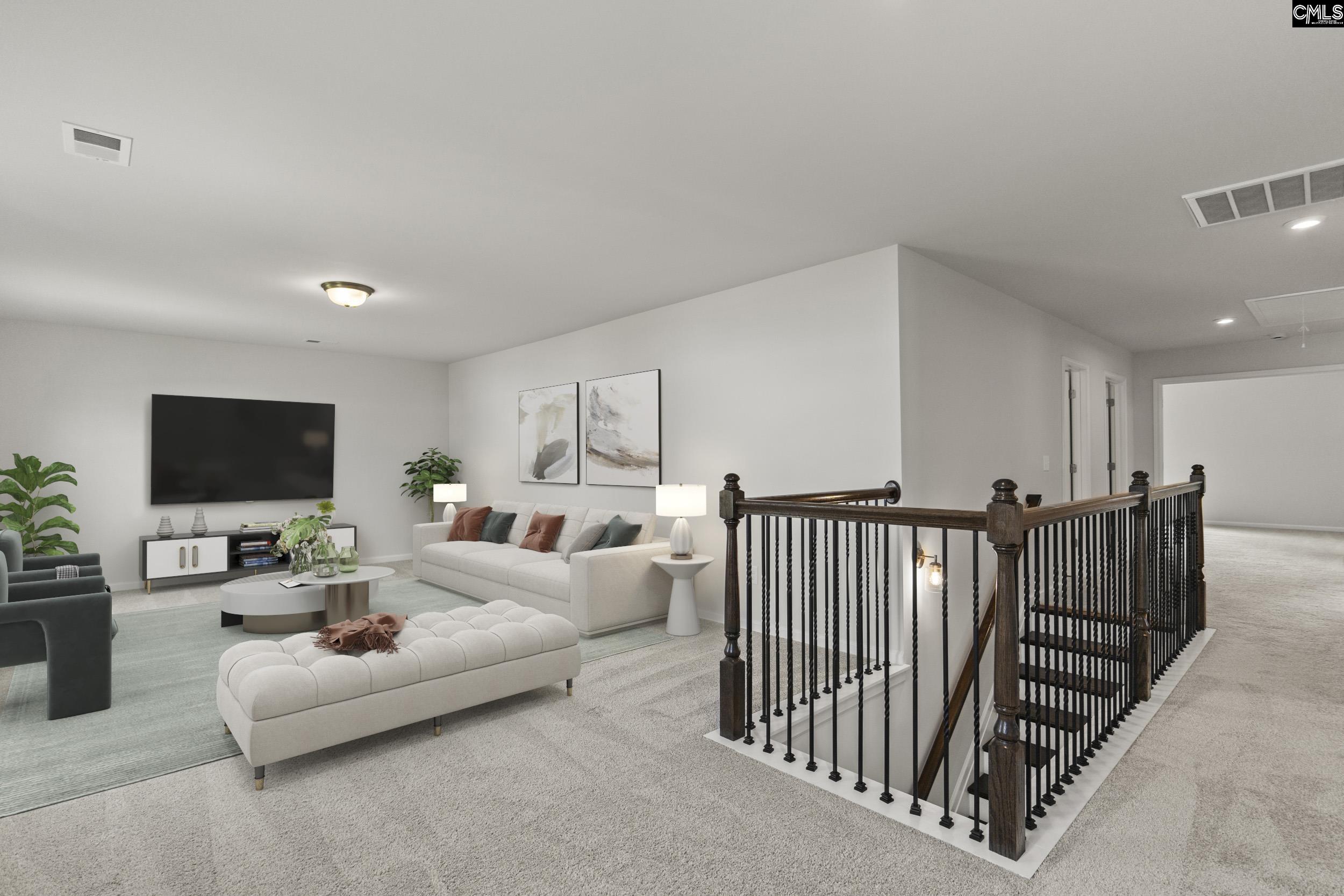 233 Chapin Place, Chapin, South Carolina image 34