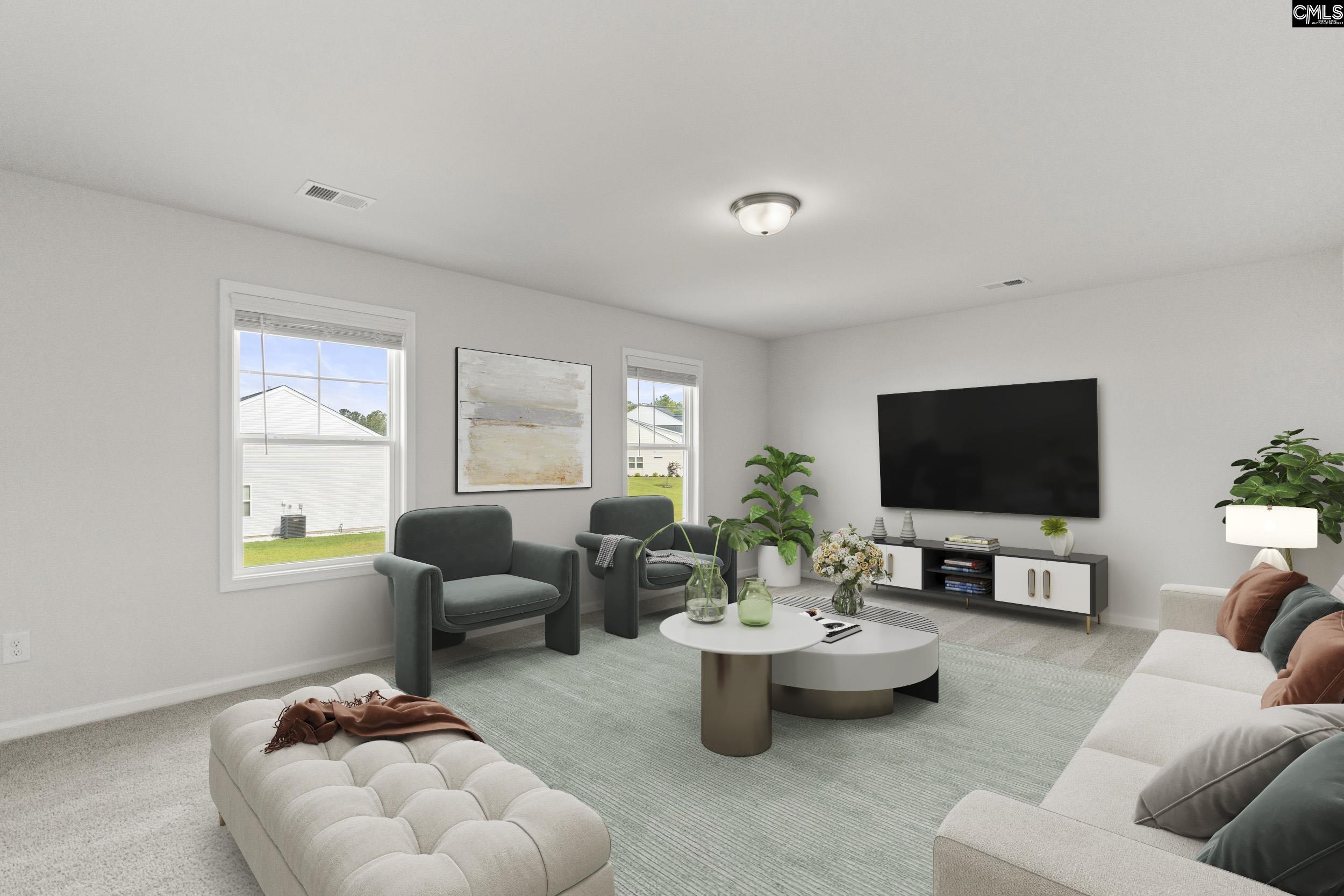 233 Chapin Place, Chapin, South Carolina image 35