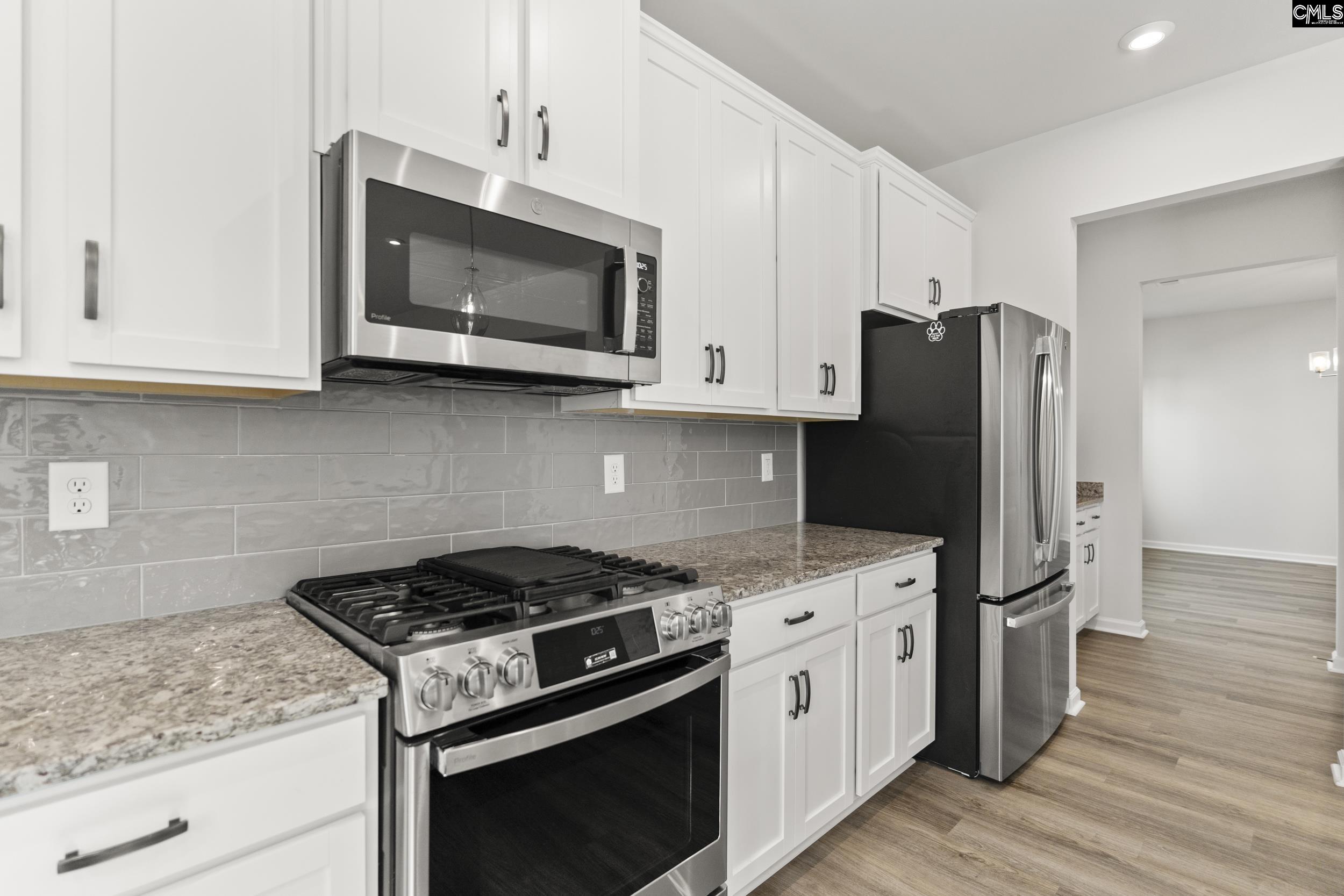 233 Chapin Place, Chapin, South Carolina image 10
