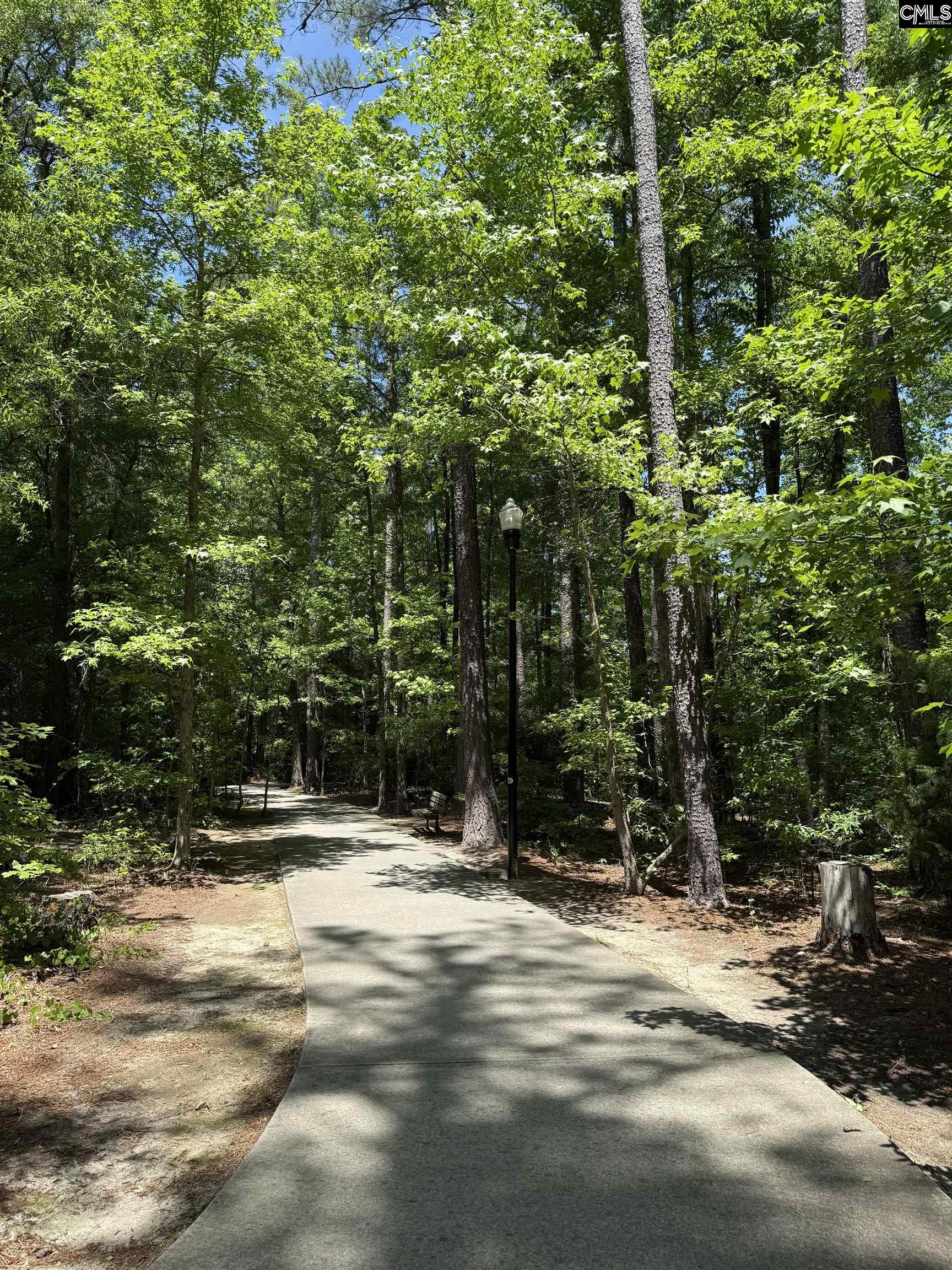 113 Odell Drive, Cayce, South Carolina image 15